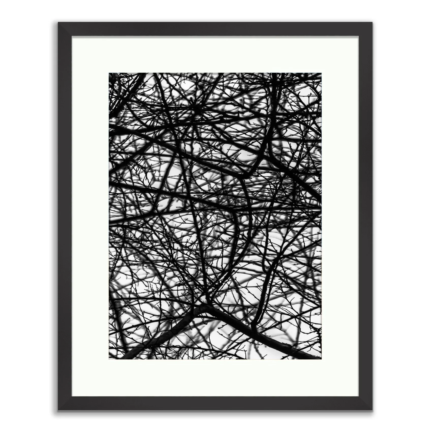 Framed Prints20160213-©_2003-2017_Johan_Salvador_Tavares_All_Rights_Reserved-40.jpg