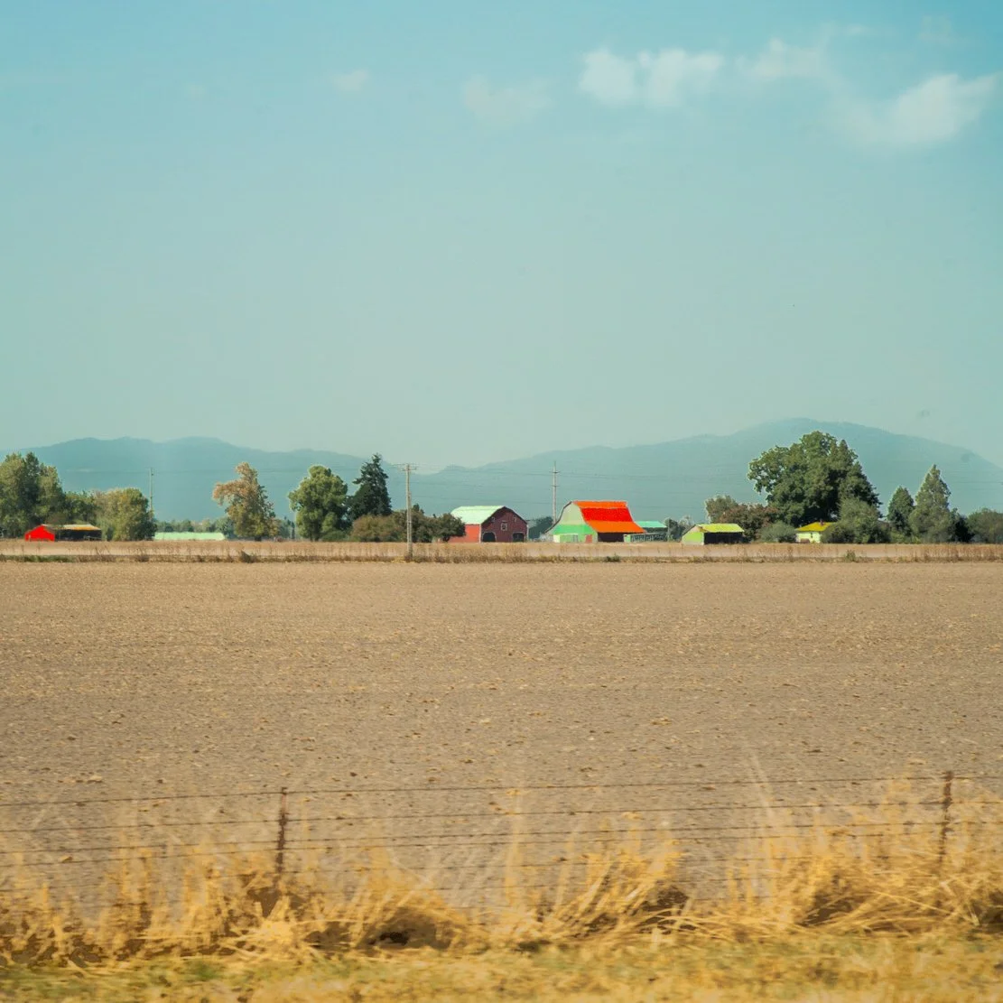 Pastoral Landscapes