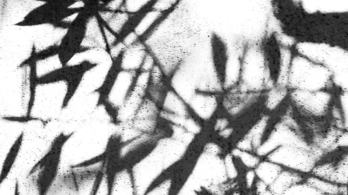 Black & White on Concrete