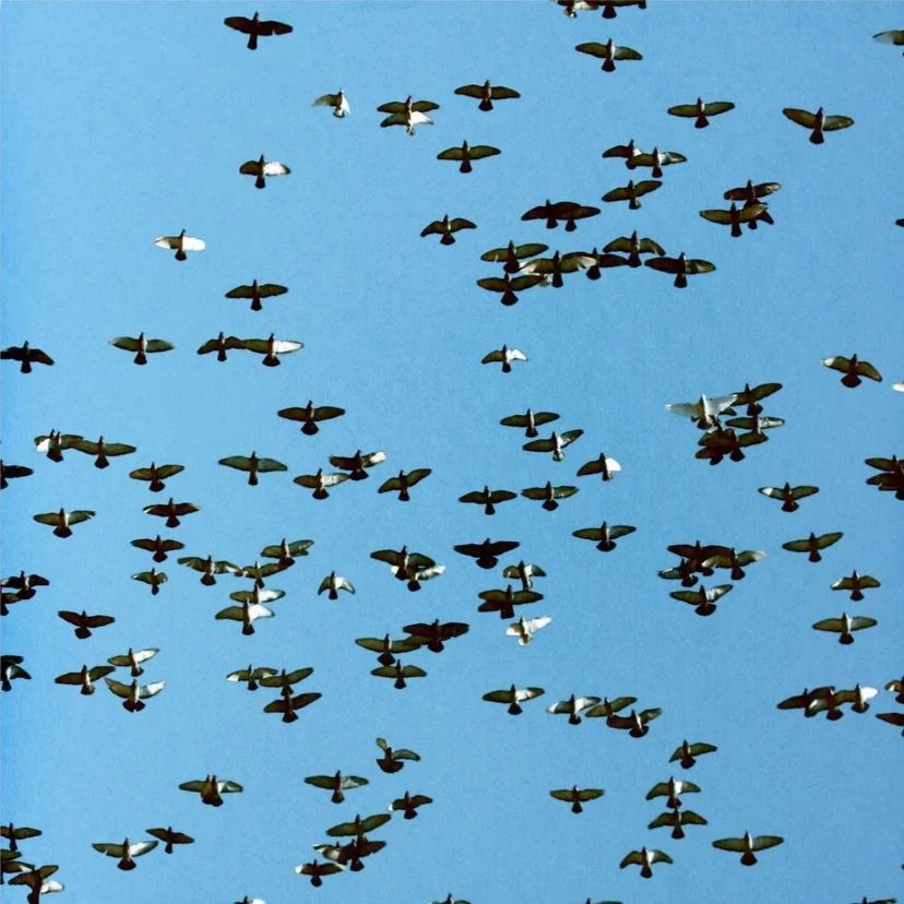 PRIVACY NOTICE&nbsp;