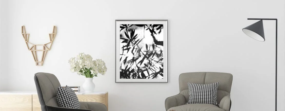 Colorado Pines in Black and White