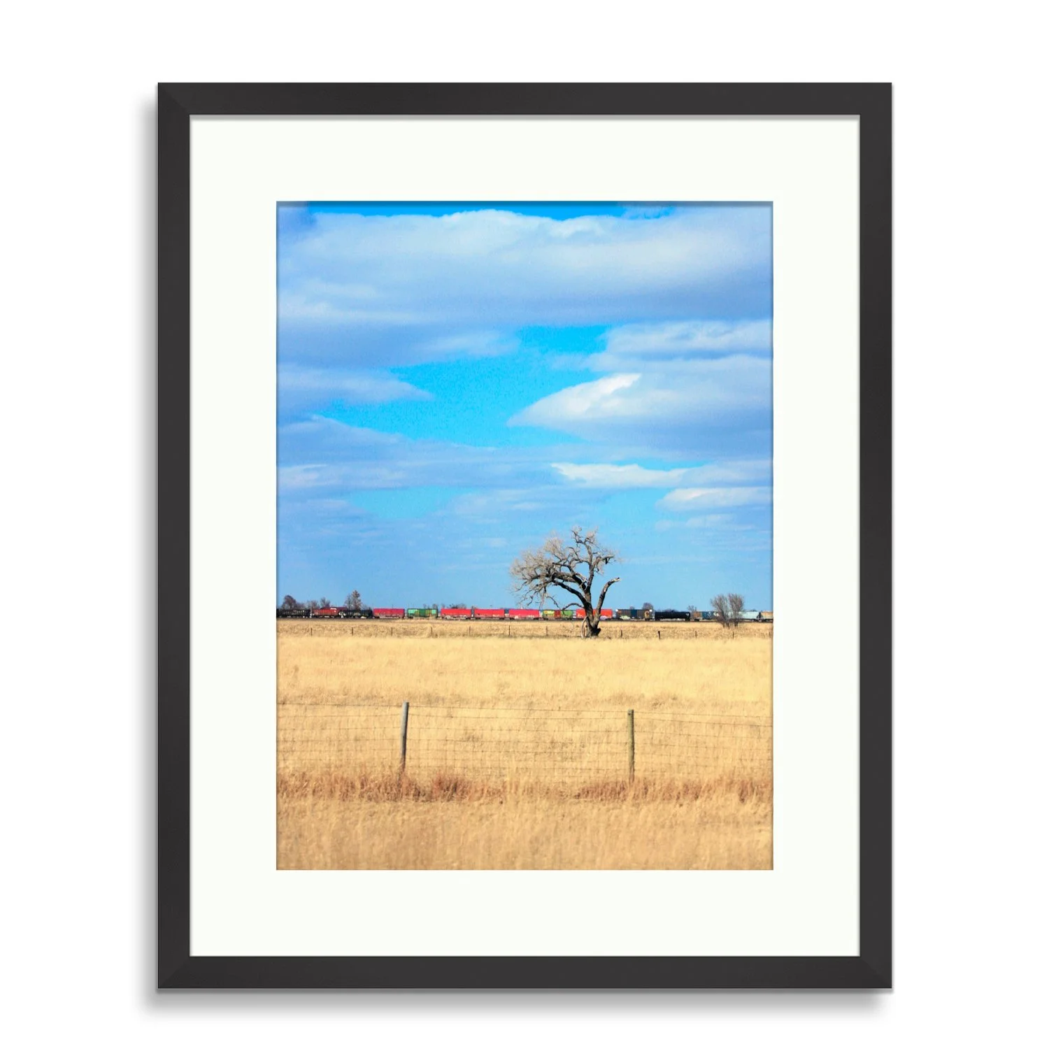 Framed Prints20080315-Iowa Train-2008.jpg