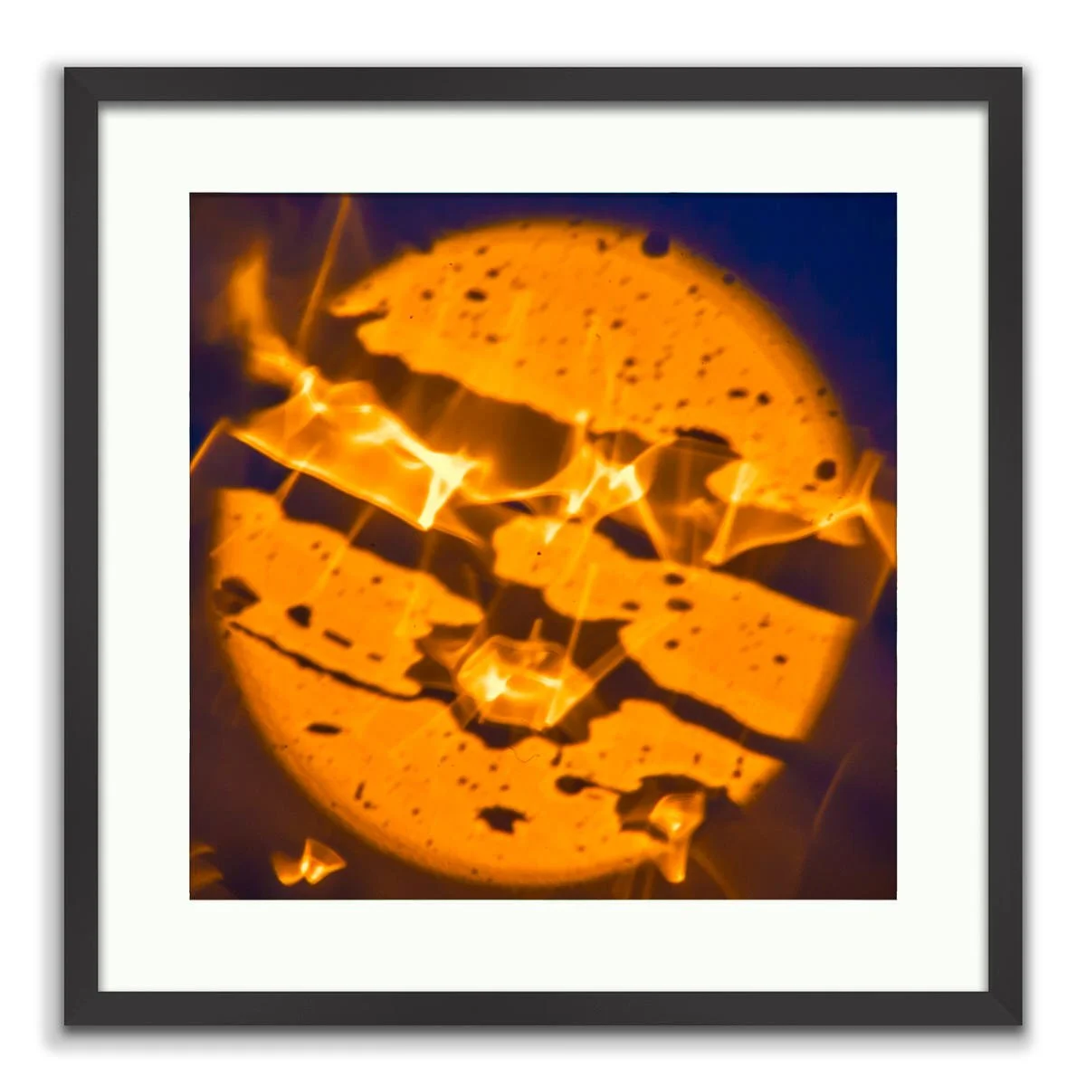 Abstract Nature In Yellow - Limited Edition Fine Art Photography