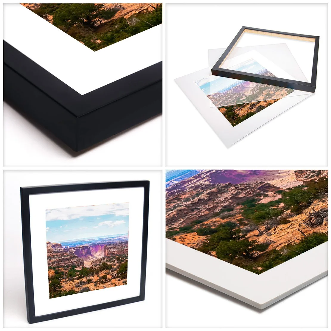 Fine Art Photography