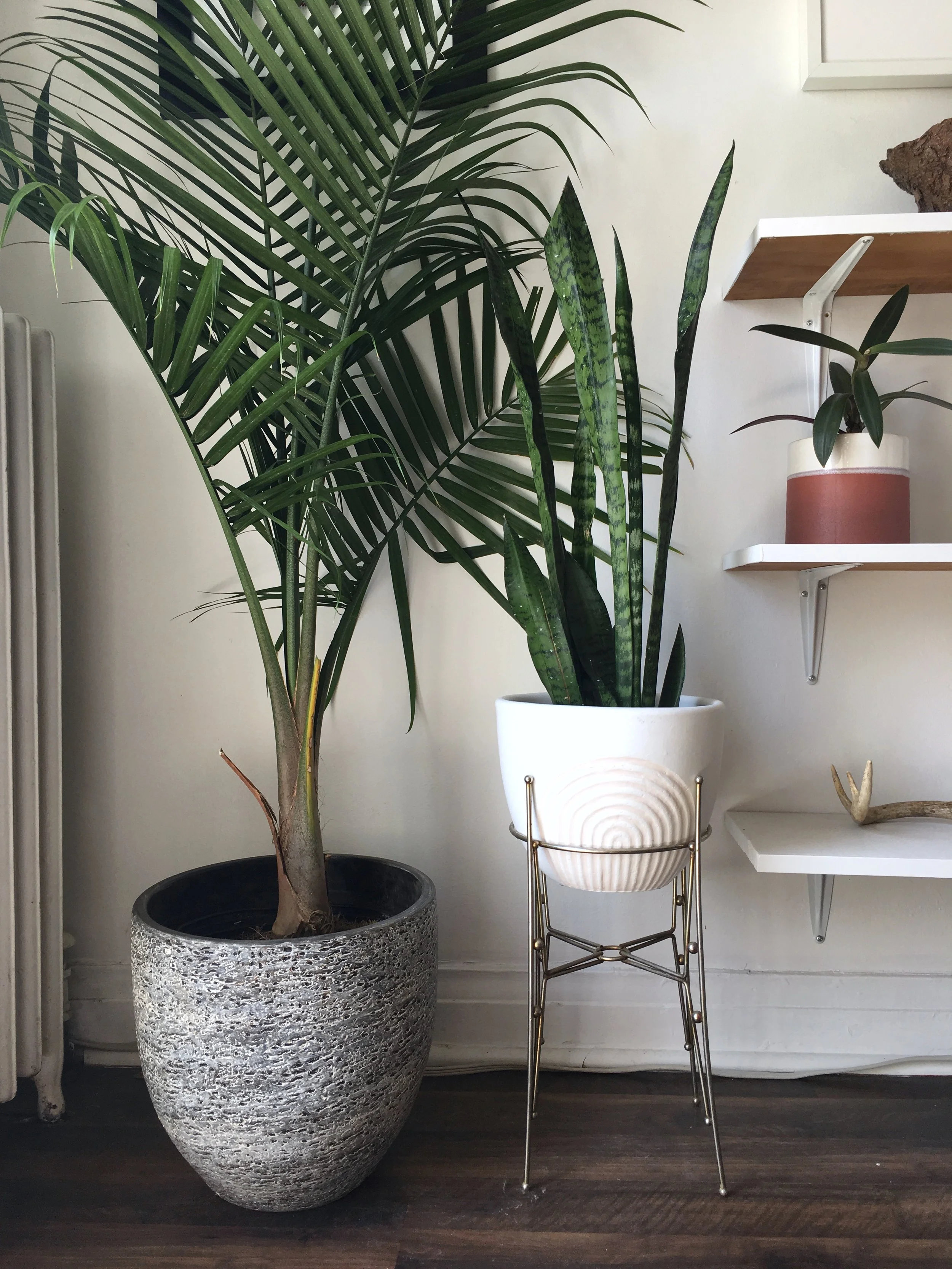 Vintage silver plant stand