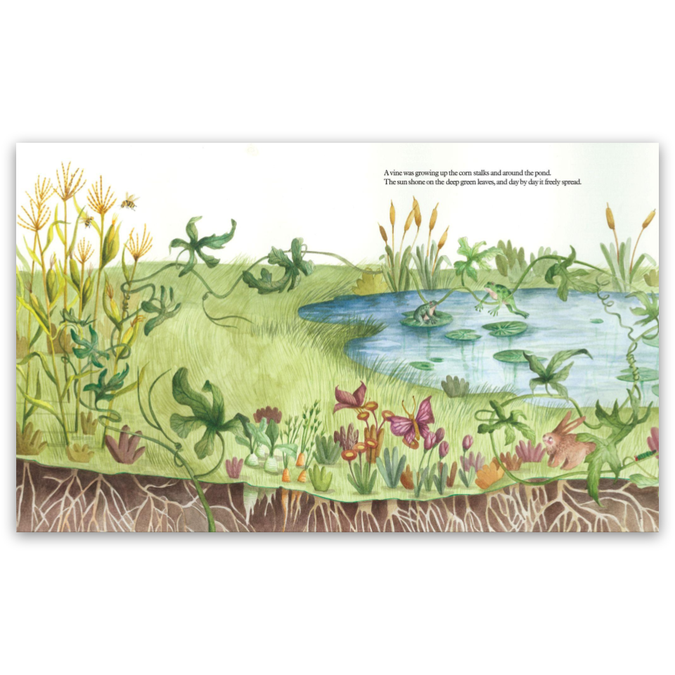 wandermelon int1.png