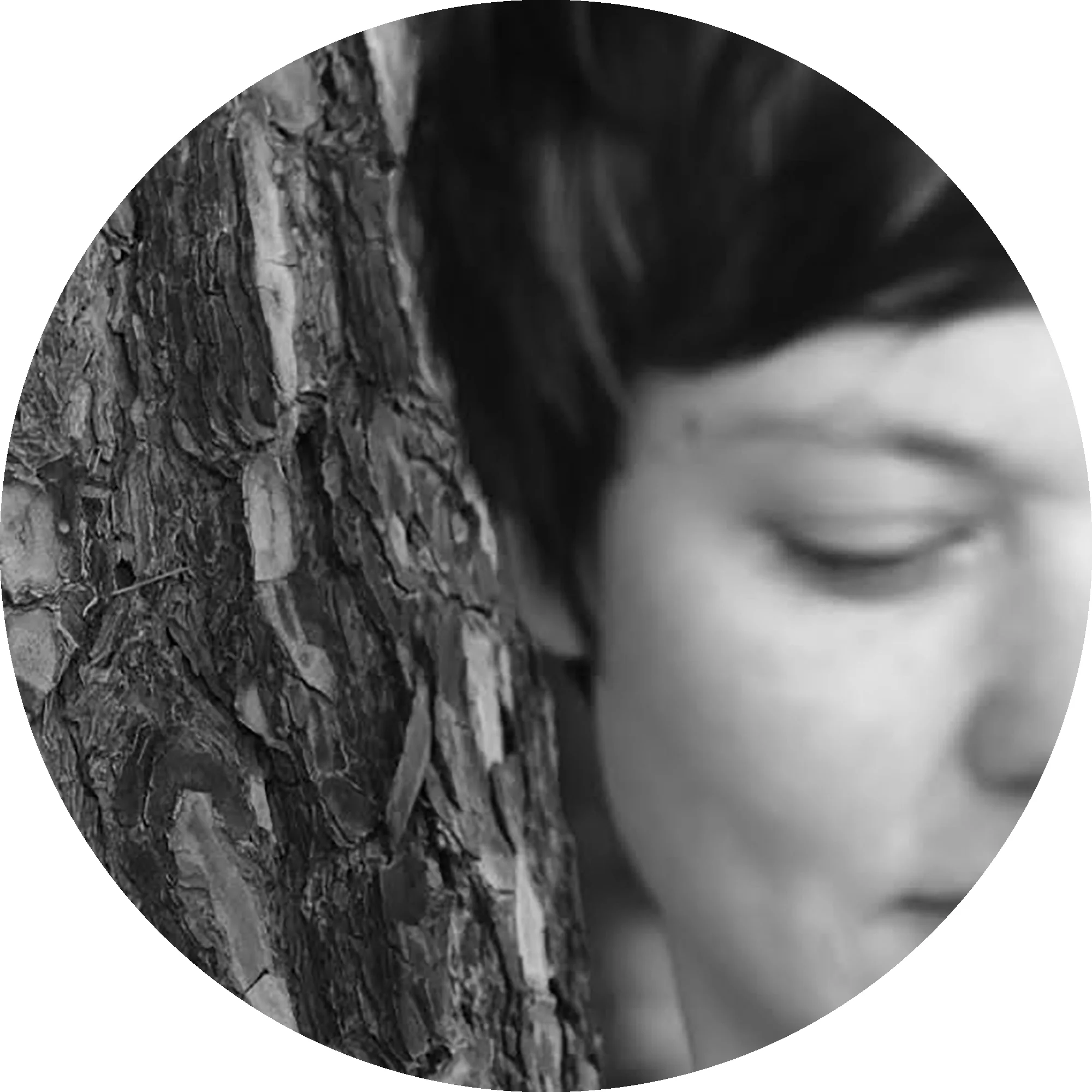 Anne Herbauts
