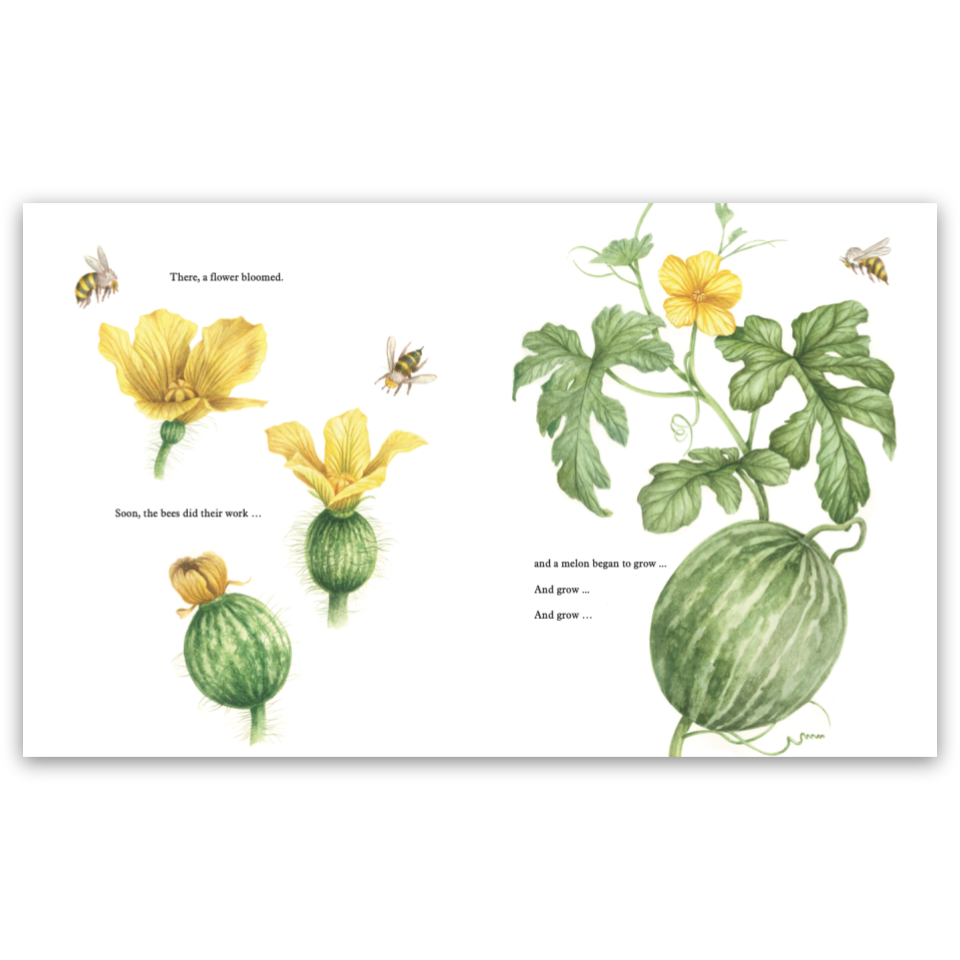 wandermelon int web_4.png