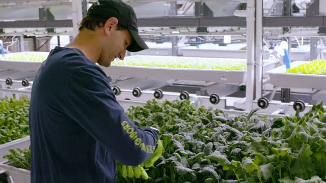 Silicon Valley Bank Bowery Farms Microdoc