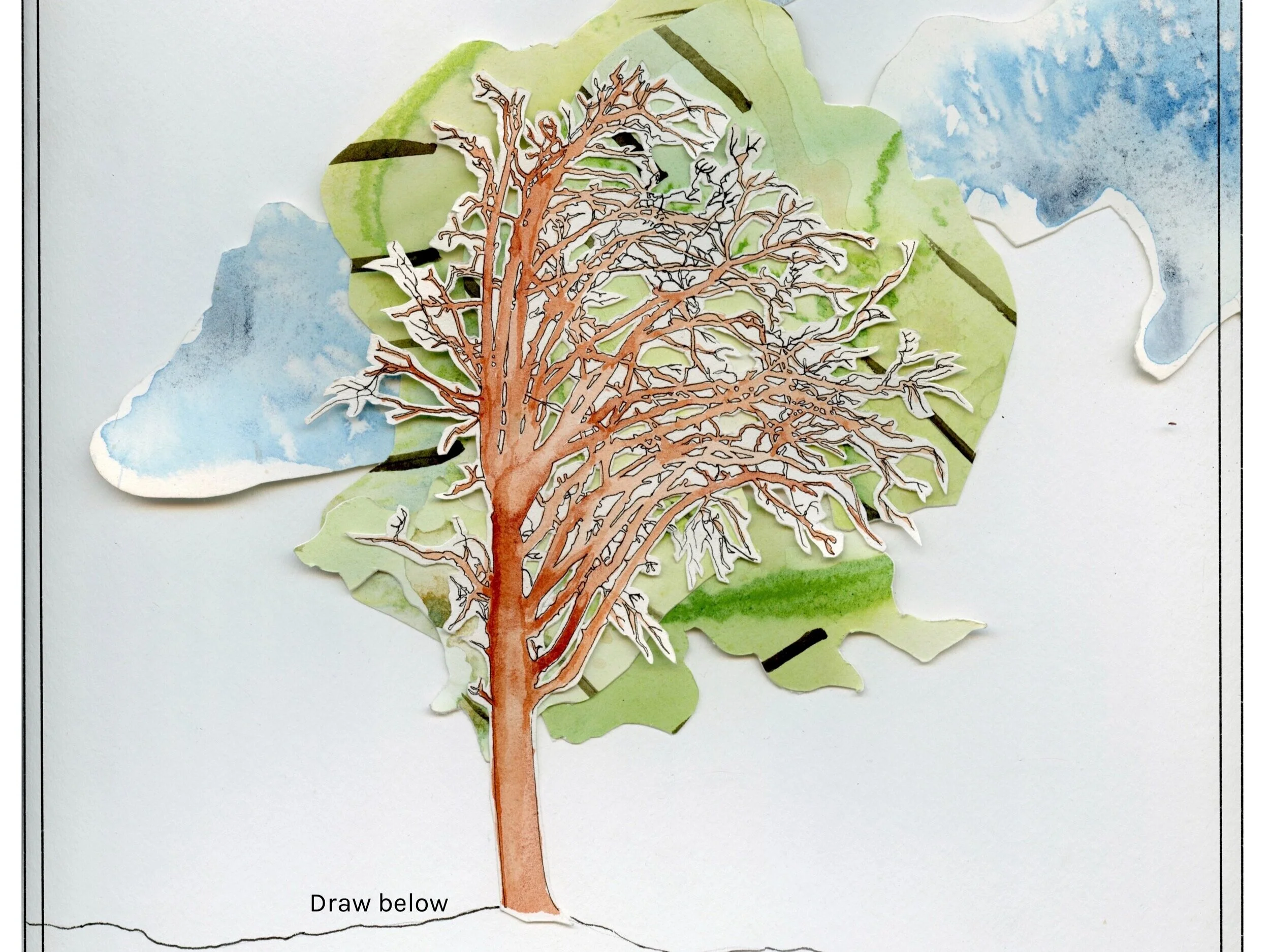 Root System Mediation