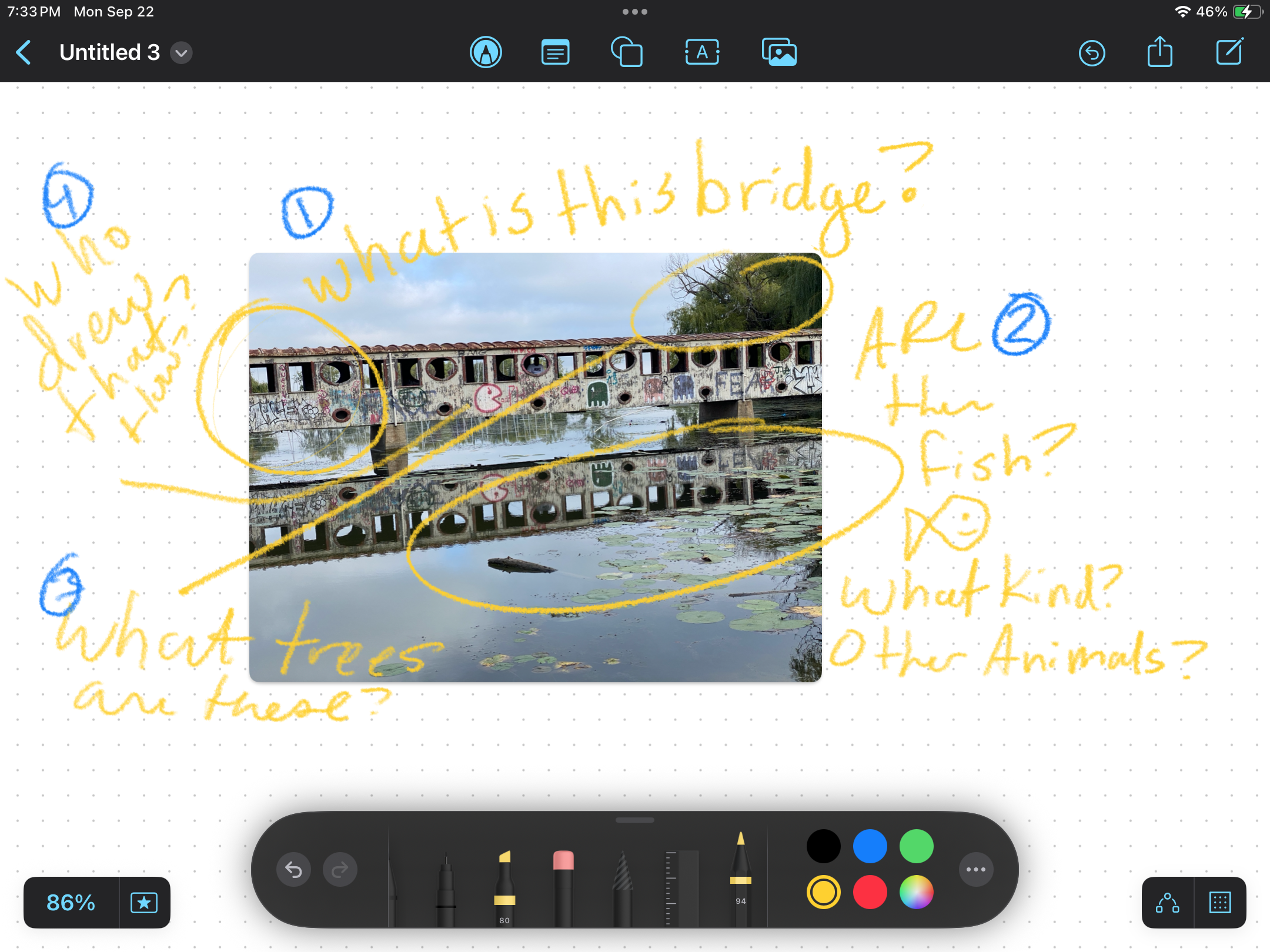 IMG_0173.PNG