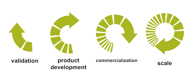 startup-lifecycle.png