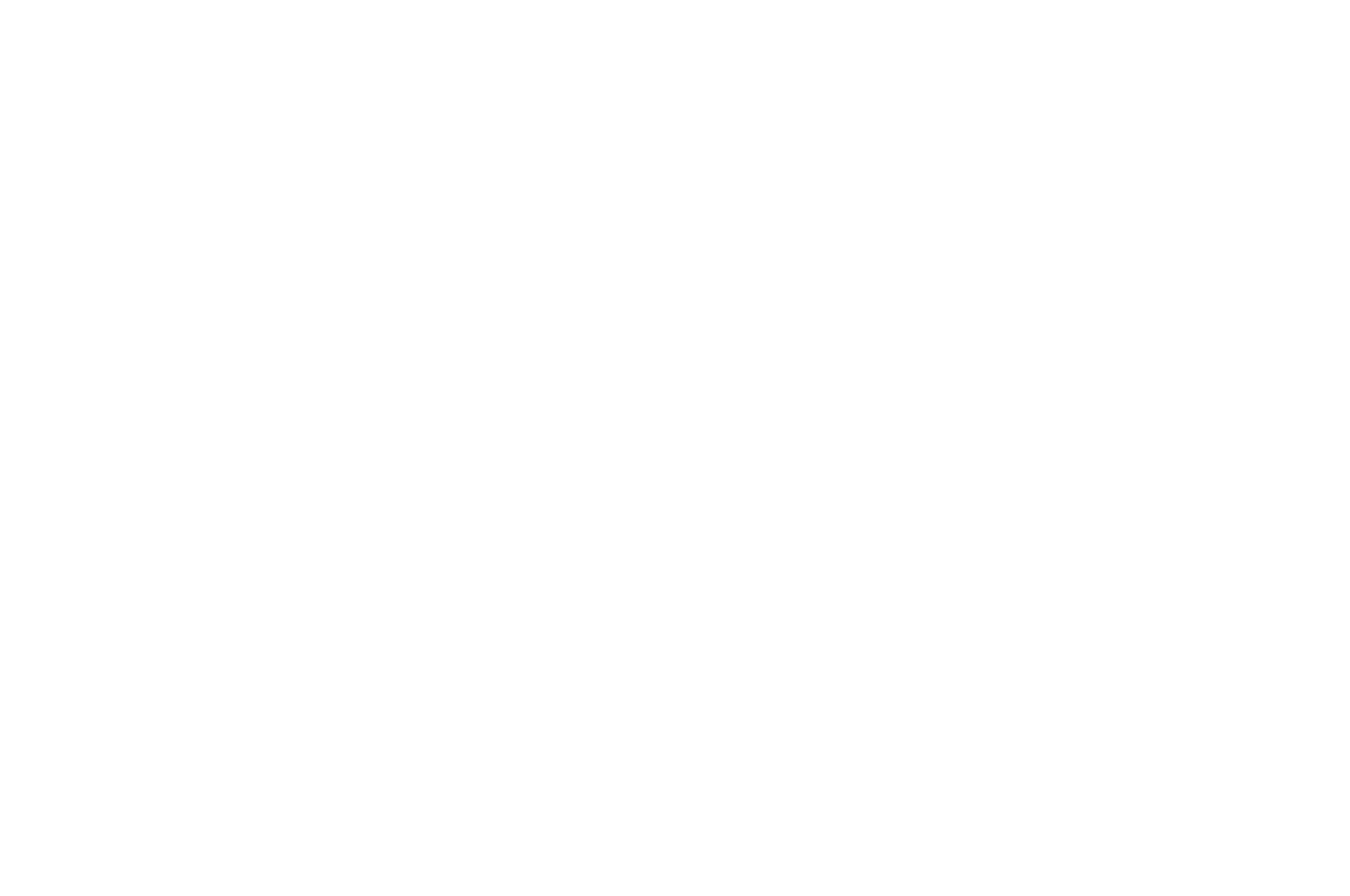 WEB SERIES FESTIVAL - WINNER BEST SUPPORTING ACTOR - 2018.png
