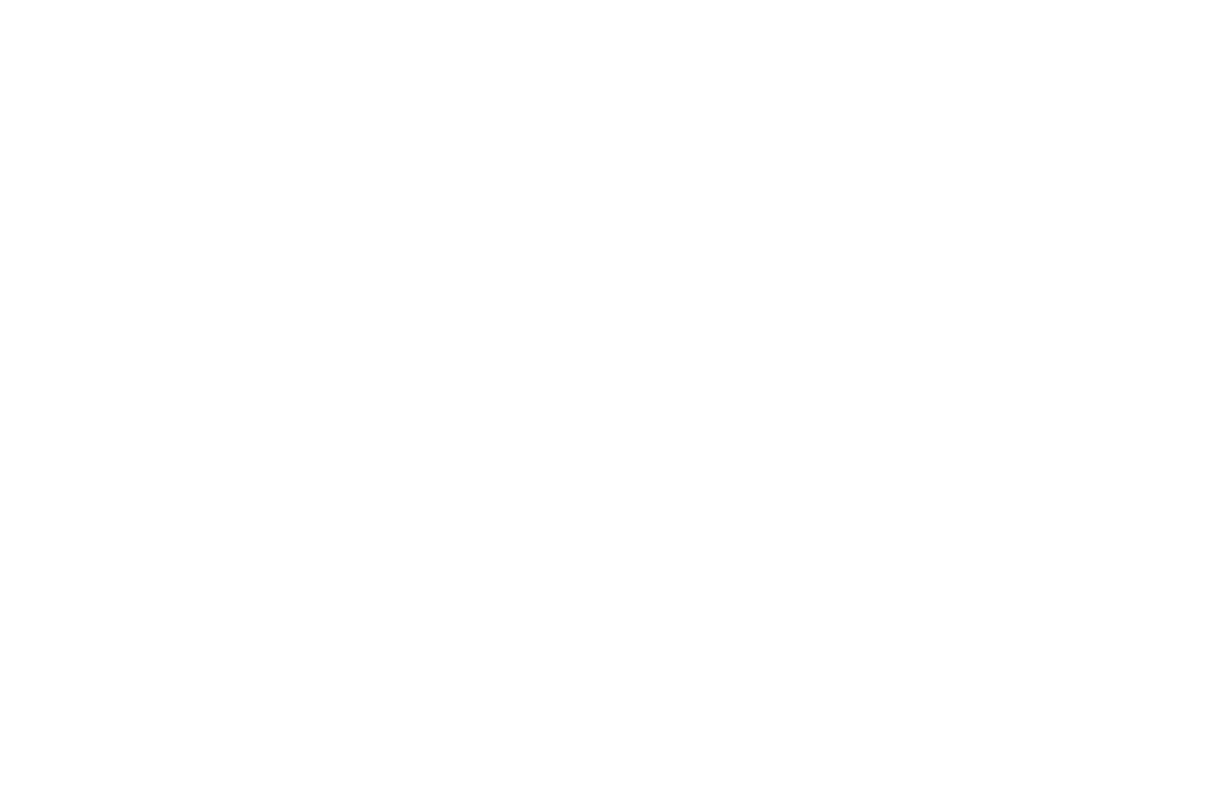 OFFICIAL SELECTION - Web Series Festival - 2018.png