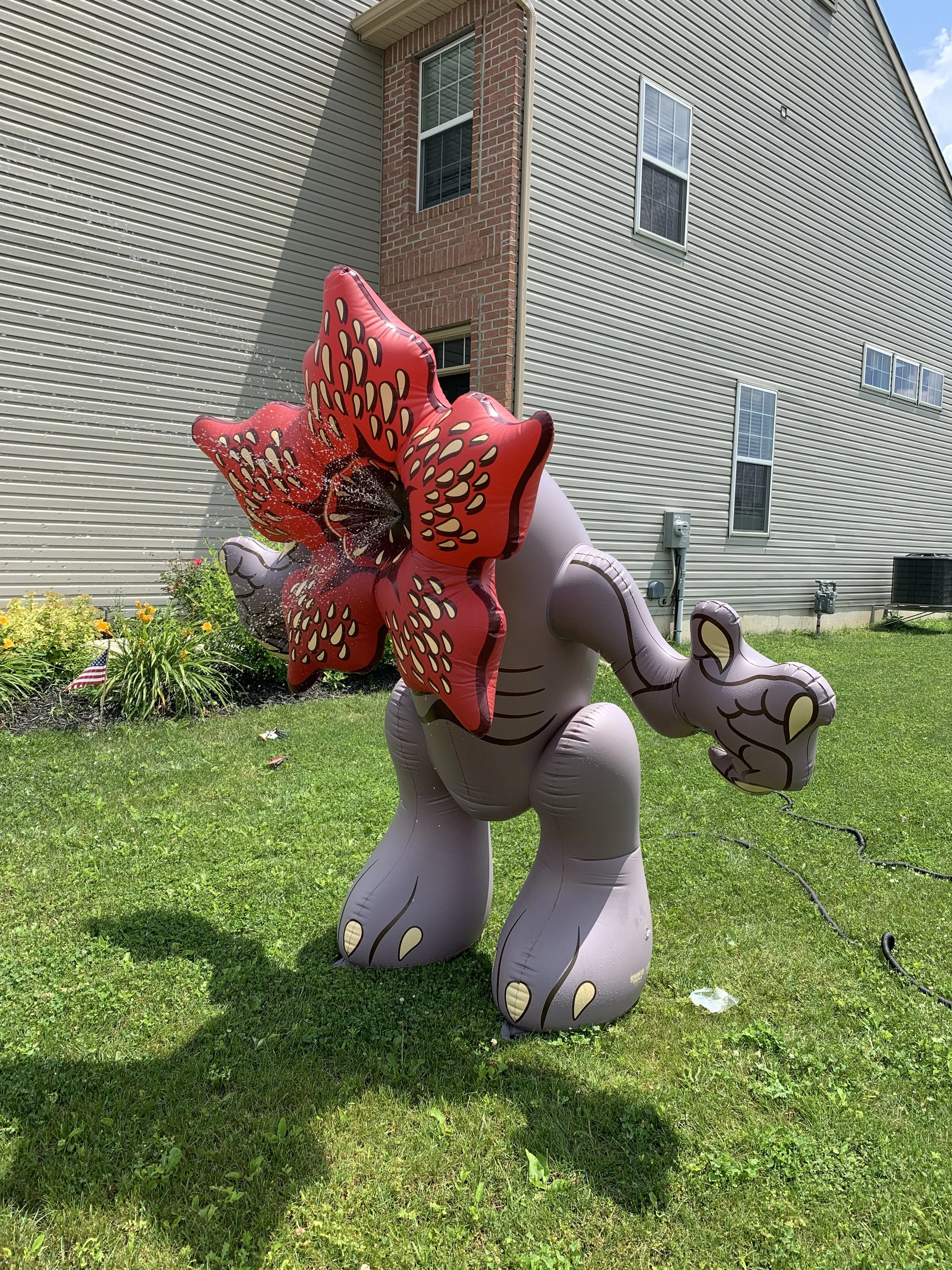 NEW PODCAST: The Water Episode 