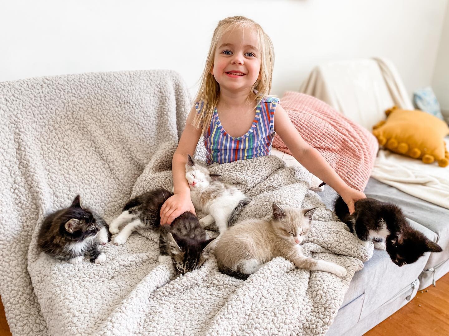 For 10 days, we loved on six sweet baby kittens that we rescued from a neighbor&rsquo;s back porch. 

It was a whole Bartemes family adventure taking on this fostering journey. Ara woke up early to feed them every morning. I&rsquo;d administer medici