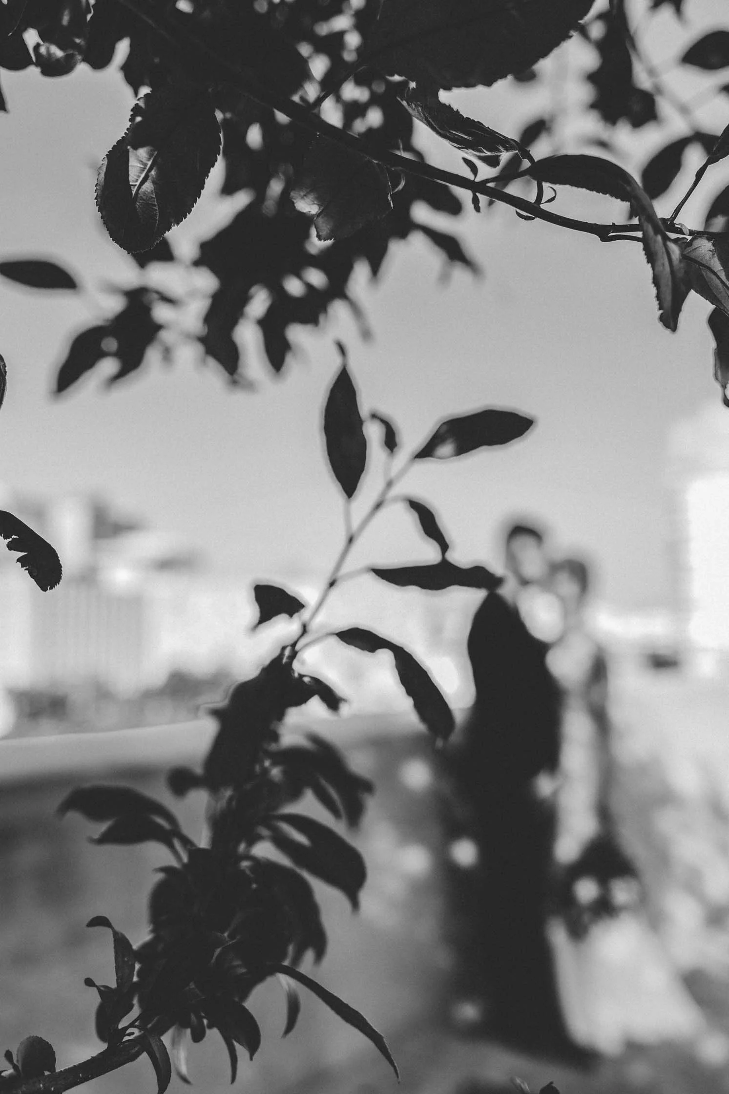 974A6343edit2.jpg