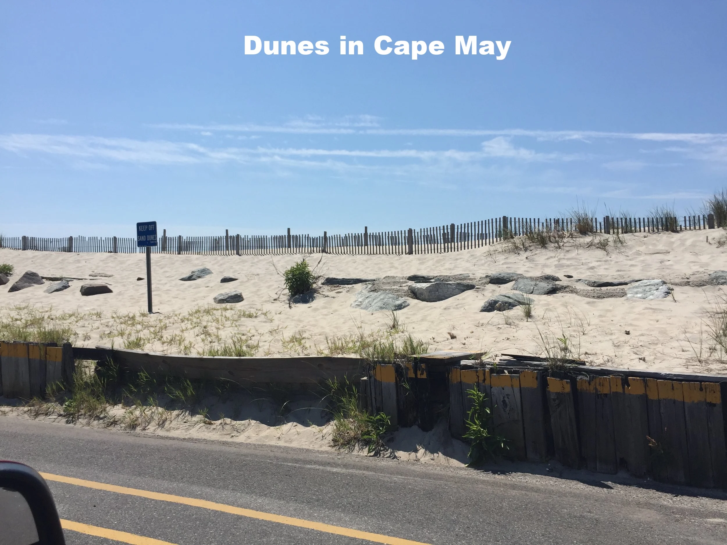 Dune in Cape May.JPG