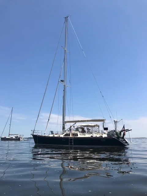 Sirius in Sandy Hook.JPG