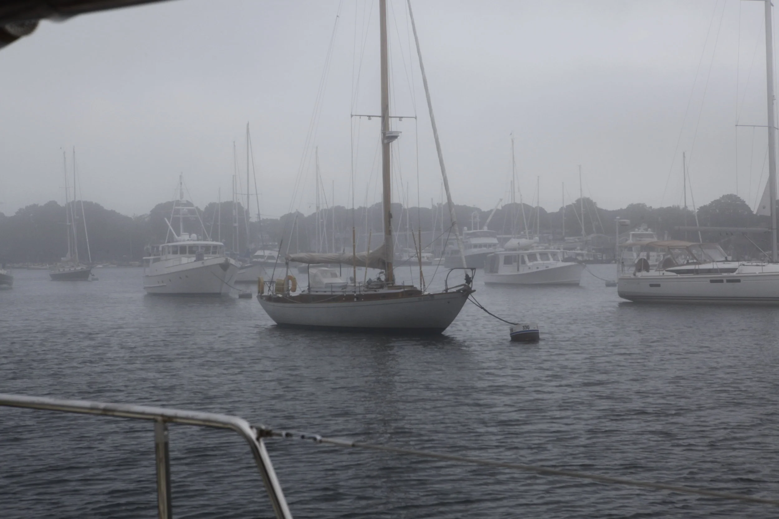 _MG_4539.JPG