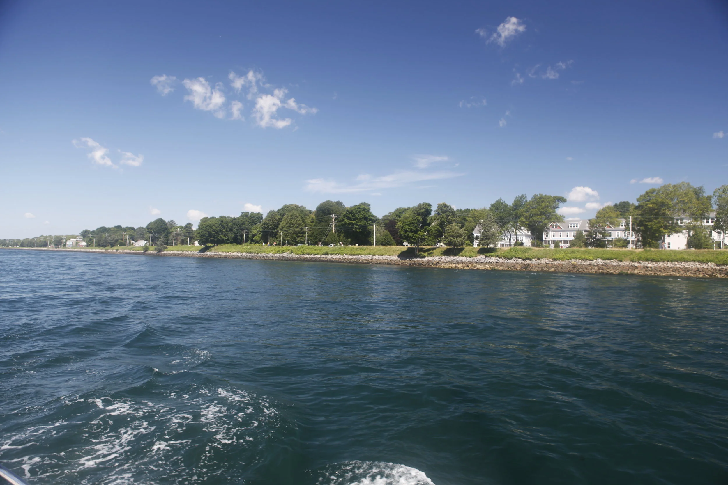 _MG_4542.JPG