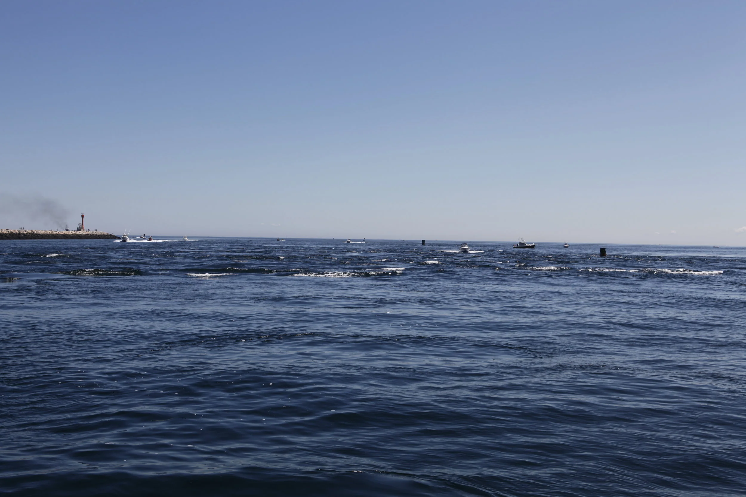 _MG_4587.JPG