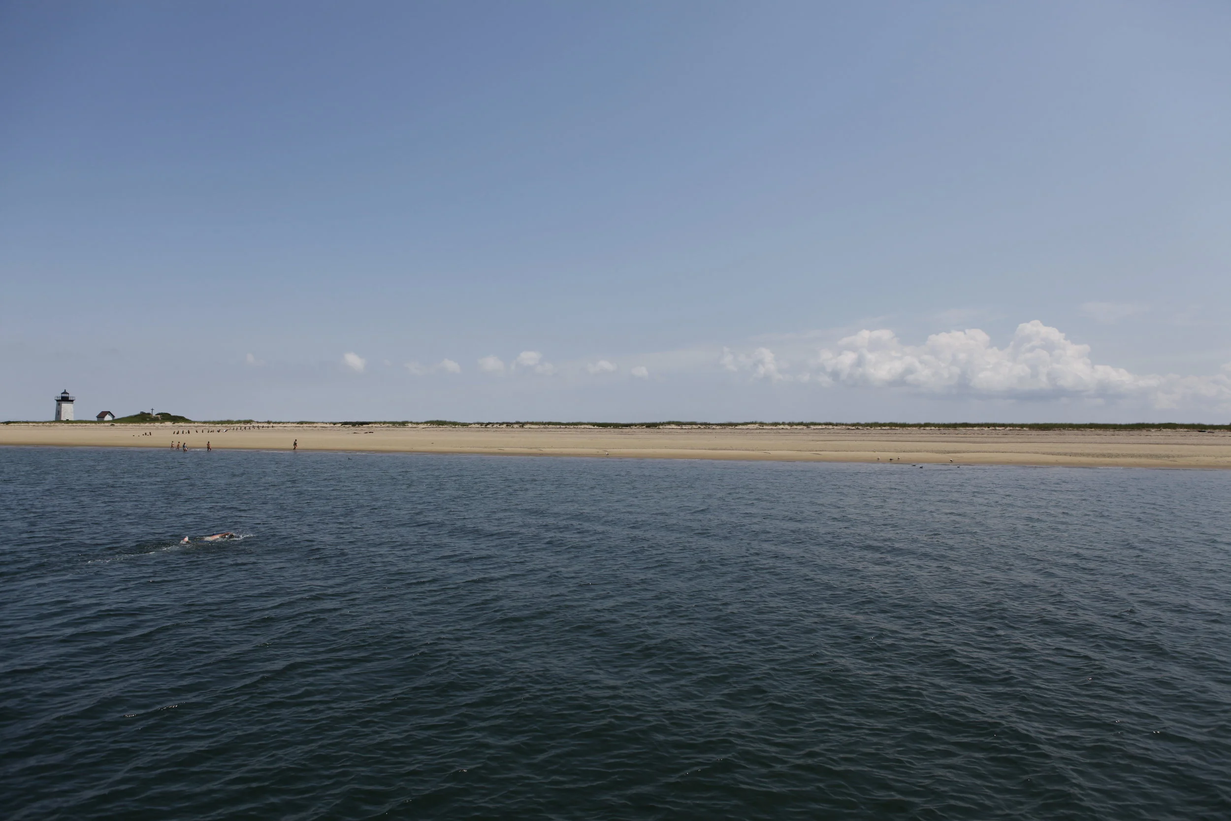 _MG_4616.JPG