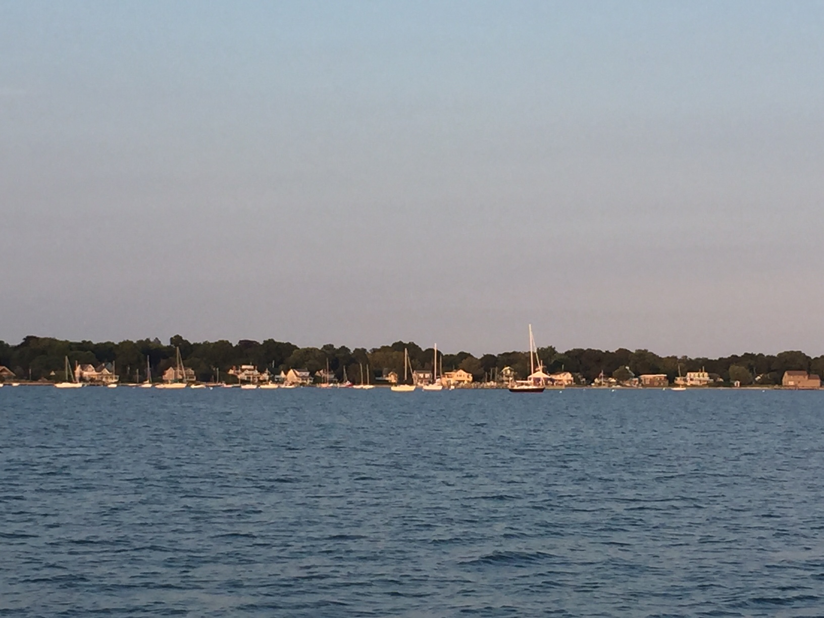  Most notable for their amazing pies. &nbsp;I got a nectarine one. 