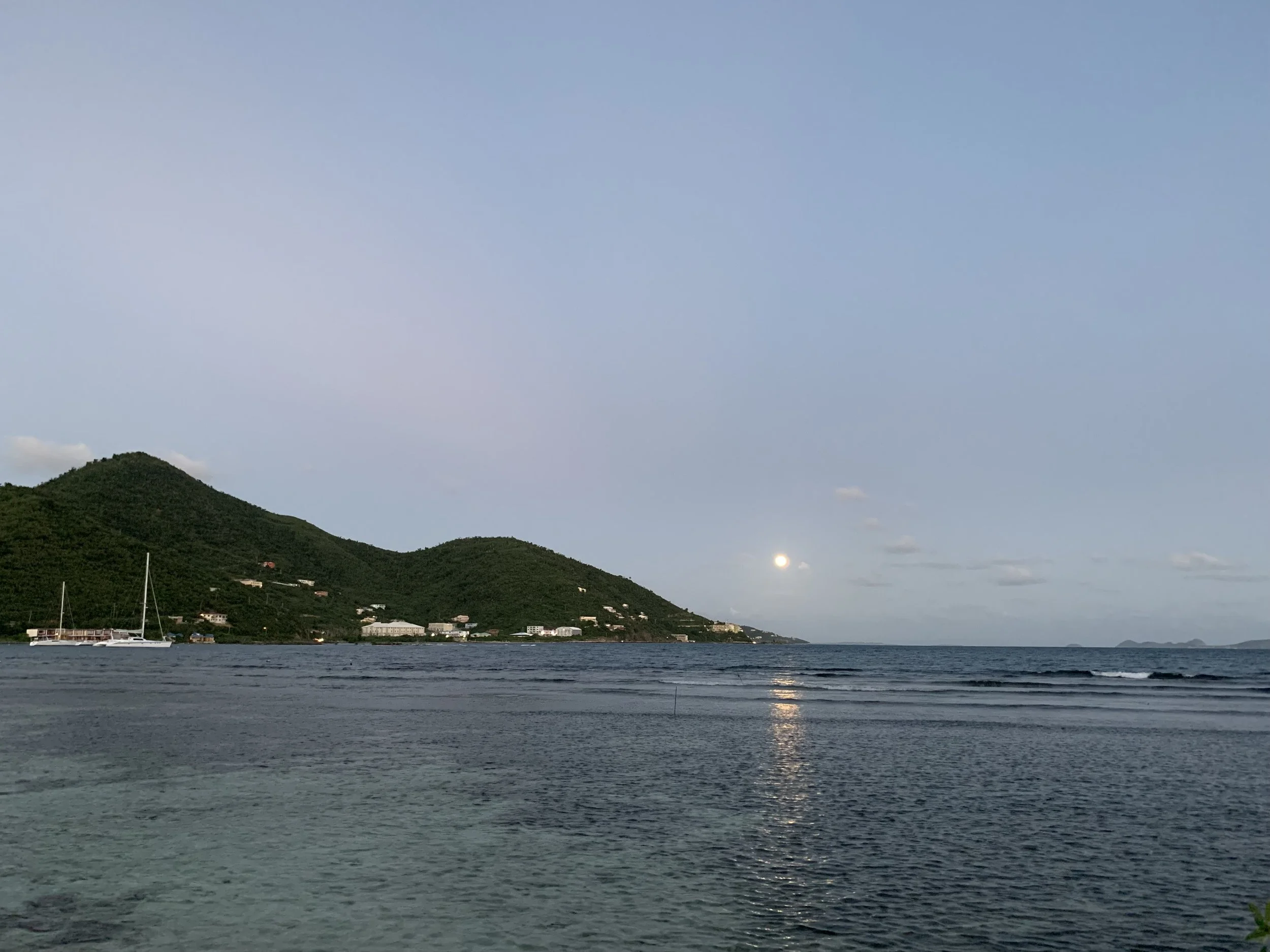 IMG_4719.jpg