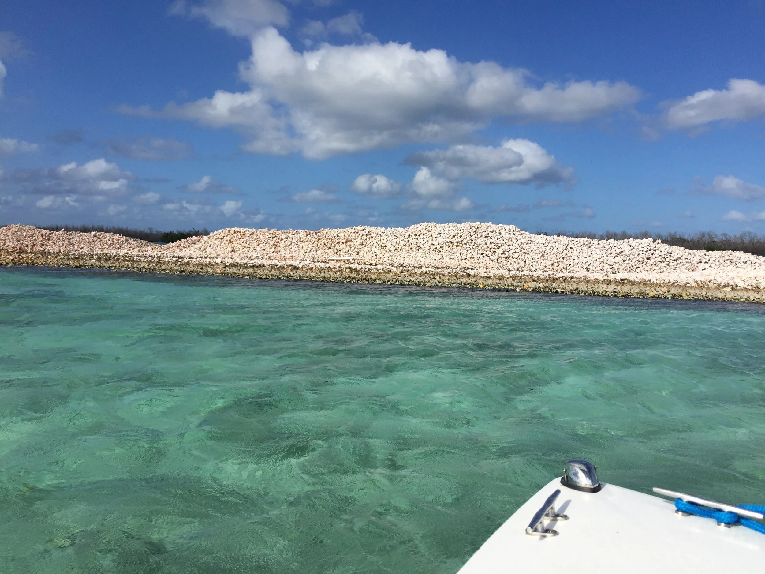 Conch Island on Anegada