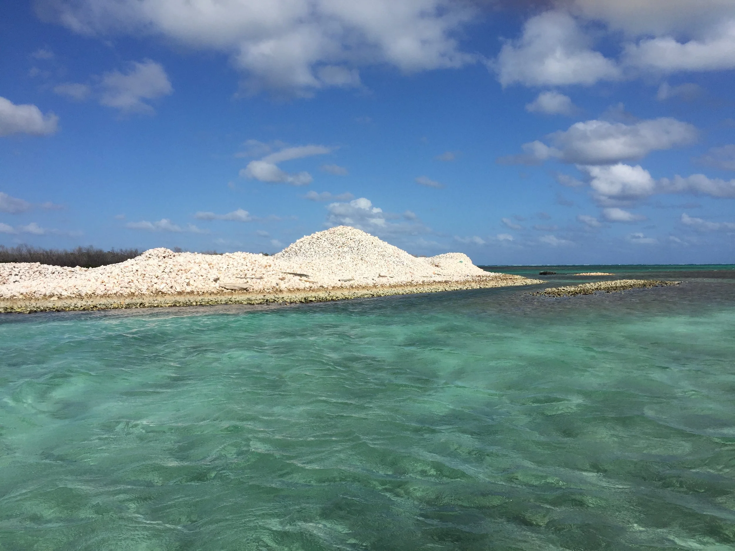 Conch Island on Anegada