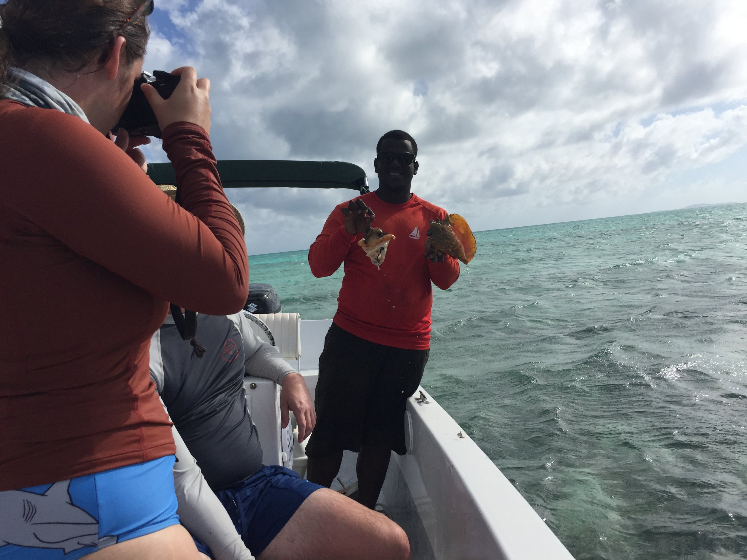 Guide removing conch from shell