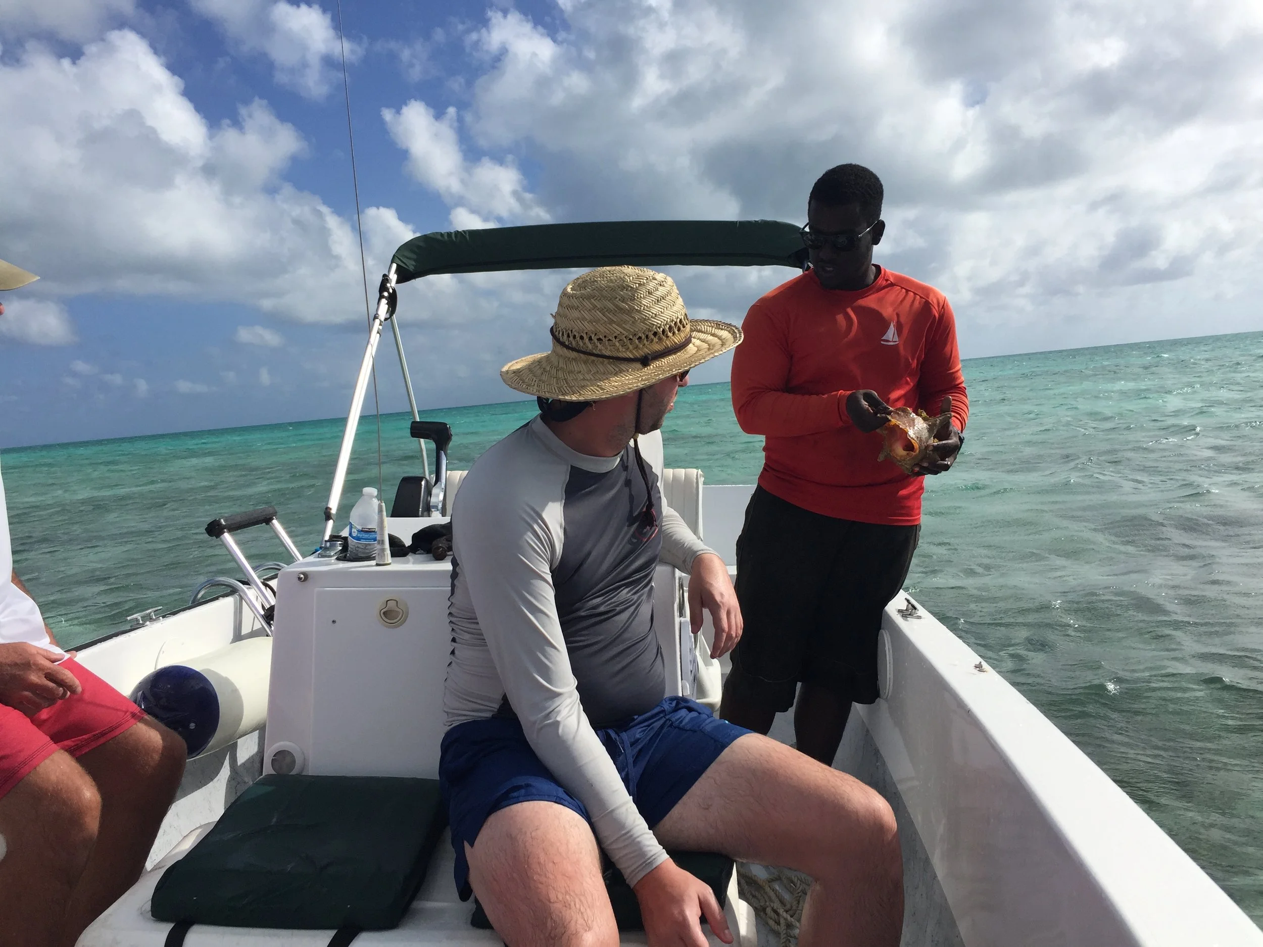 Explaining how to remove conch from shell