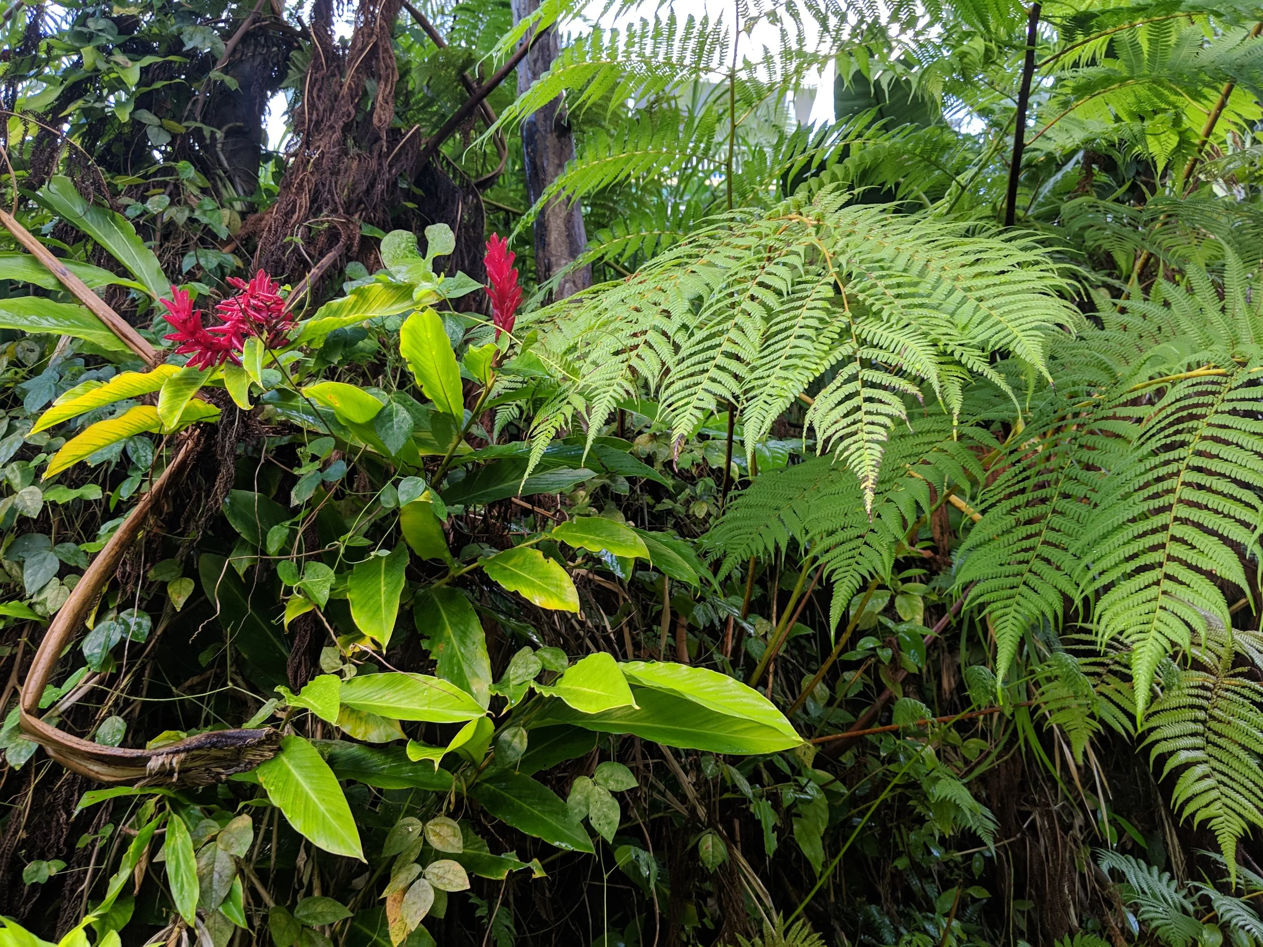 IMG_20190227_175925.jpg