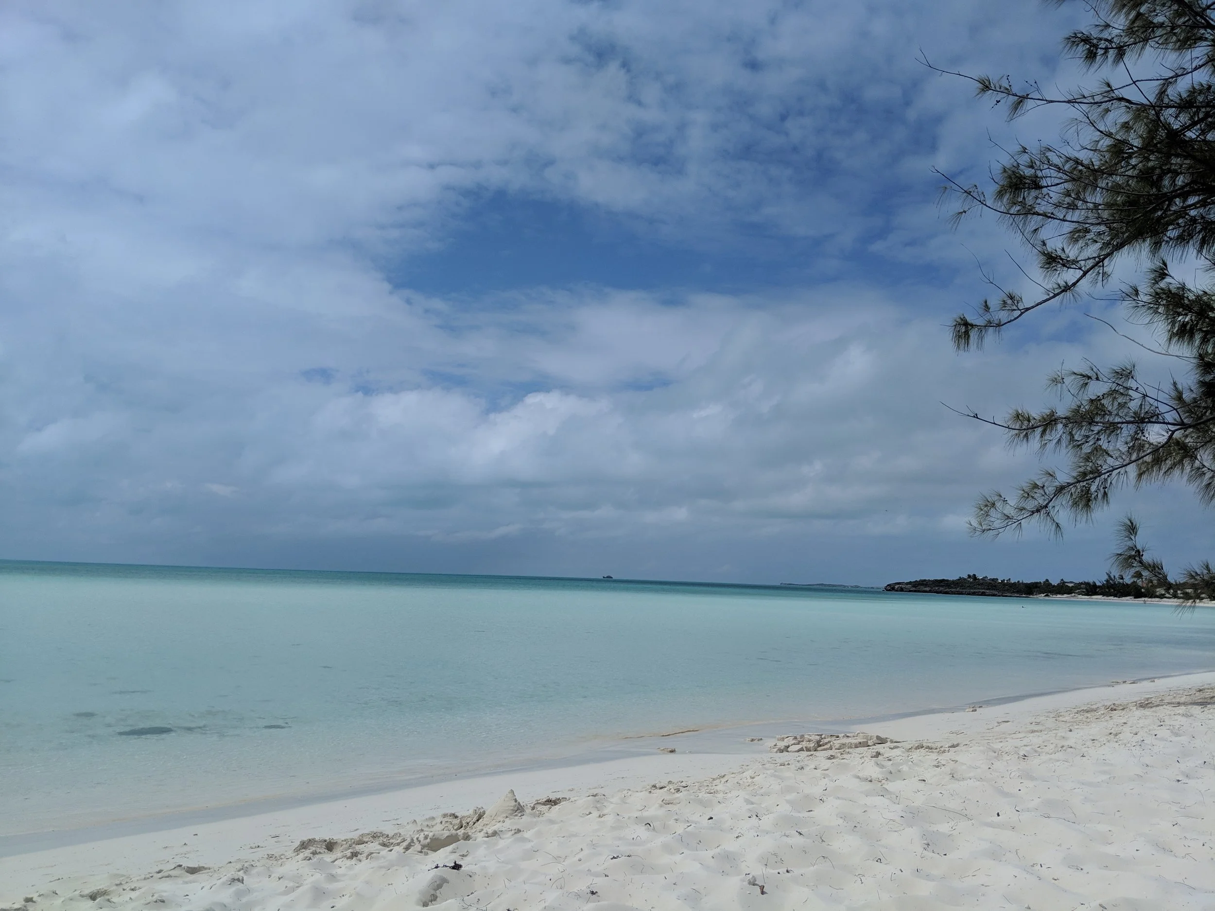 IMG_20190307_112604.jpg
