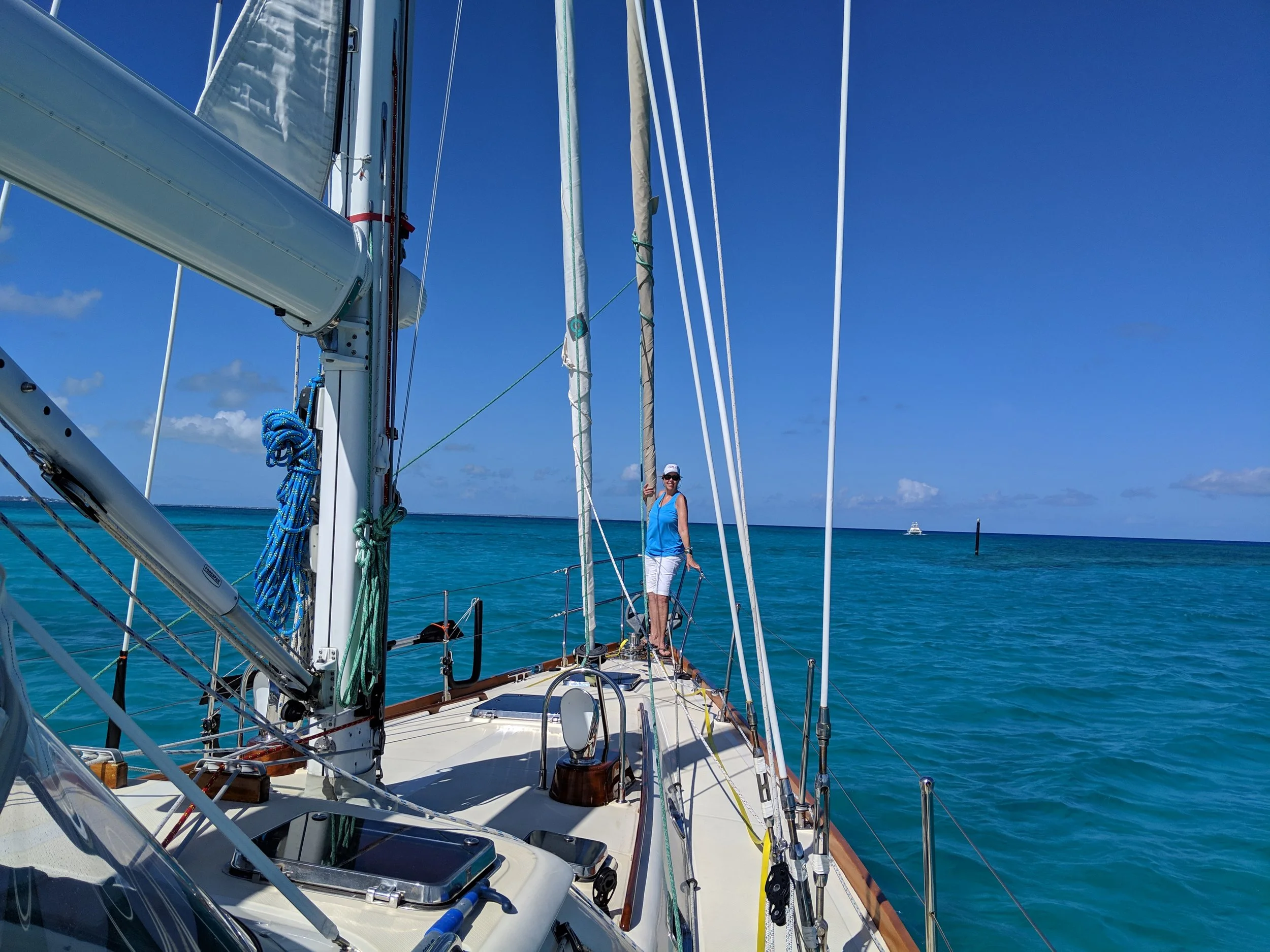 IMG_20190310_103401.jpg