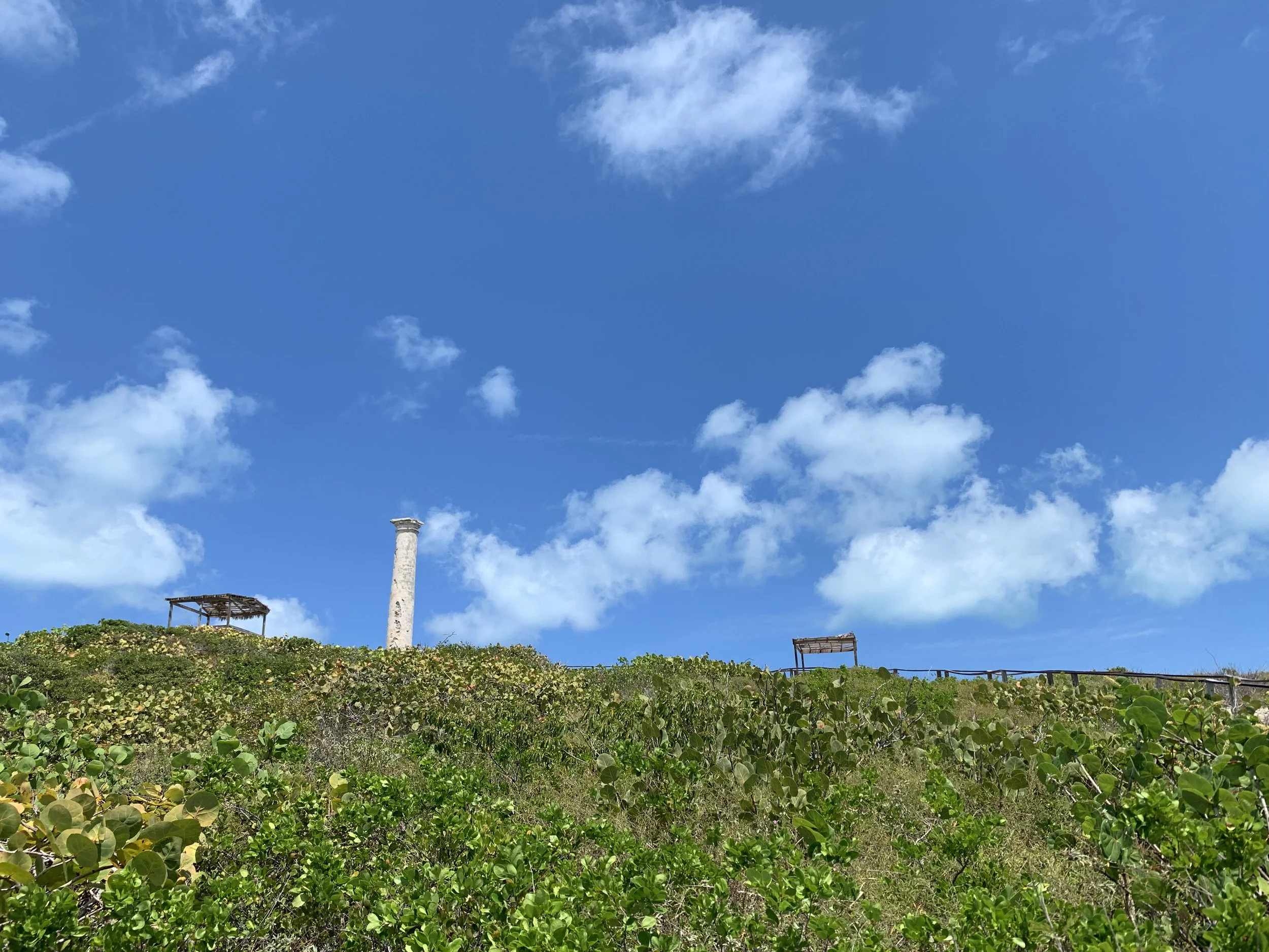 Ionic column representing salt harvesting