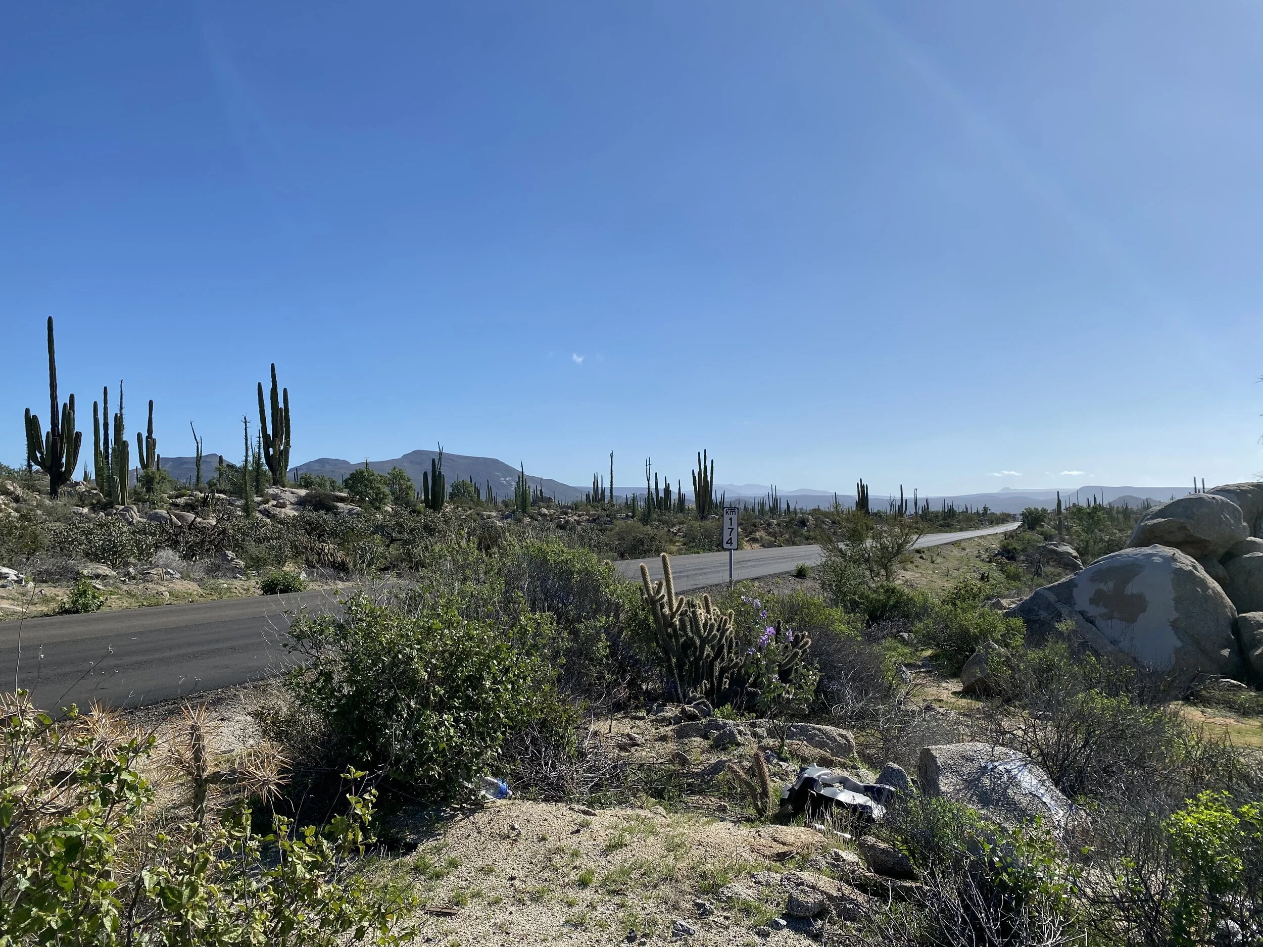 Mex country.jpeg