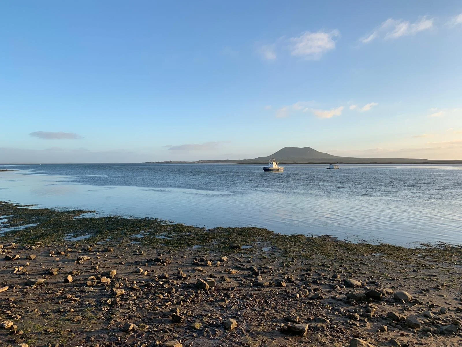 scenery for grey whales.JPG