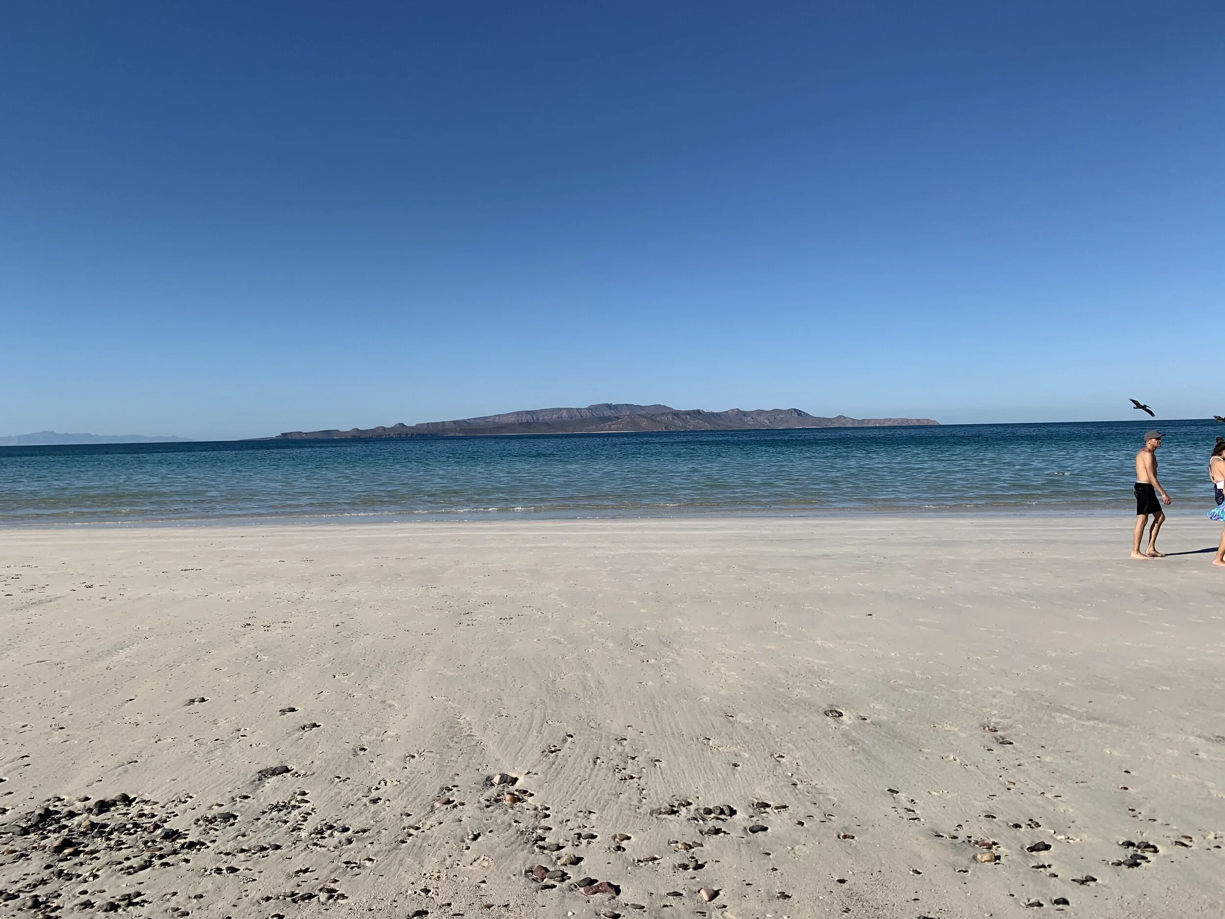 IMG_6513.jpeg
