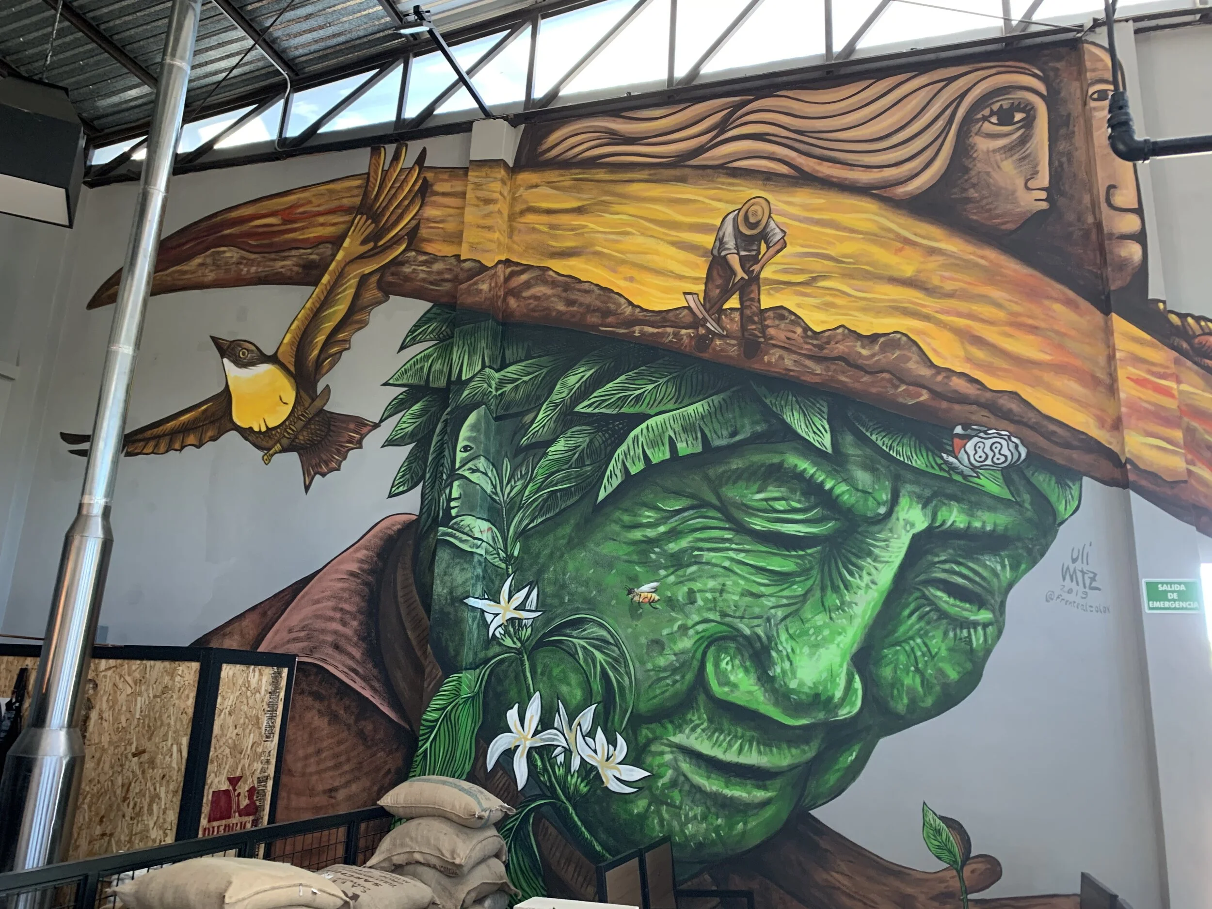 Mural in local coffee shop