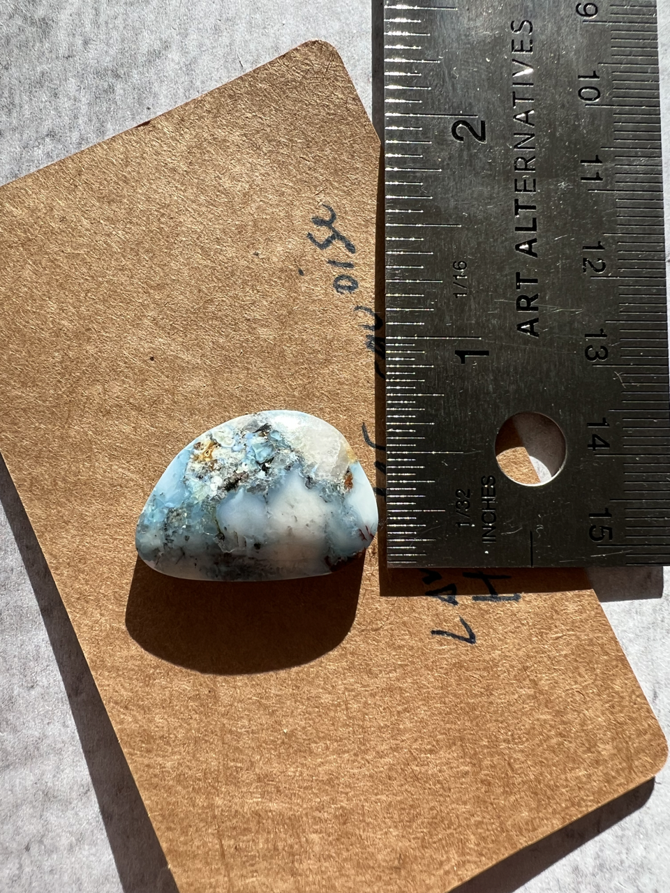 IMG_6545 Large.png