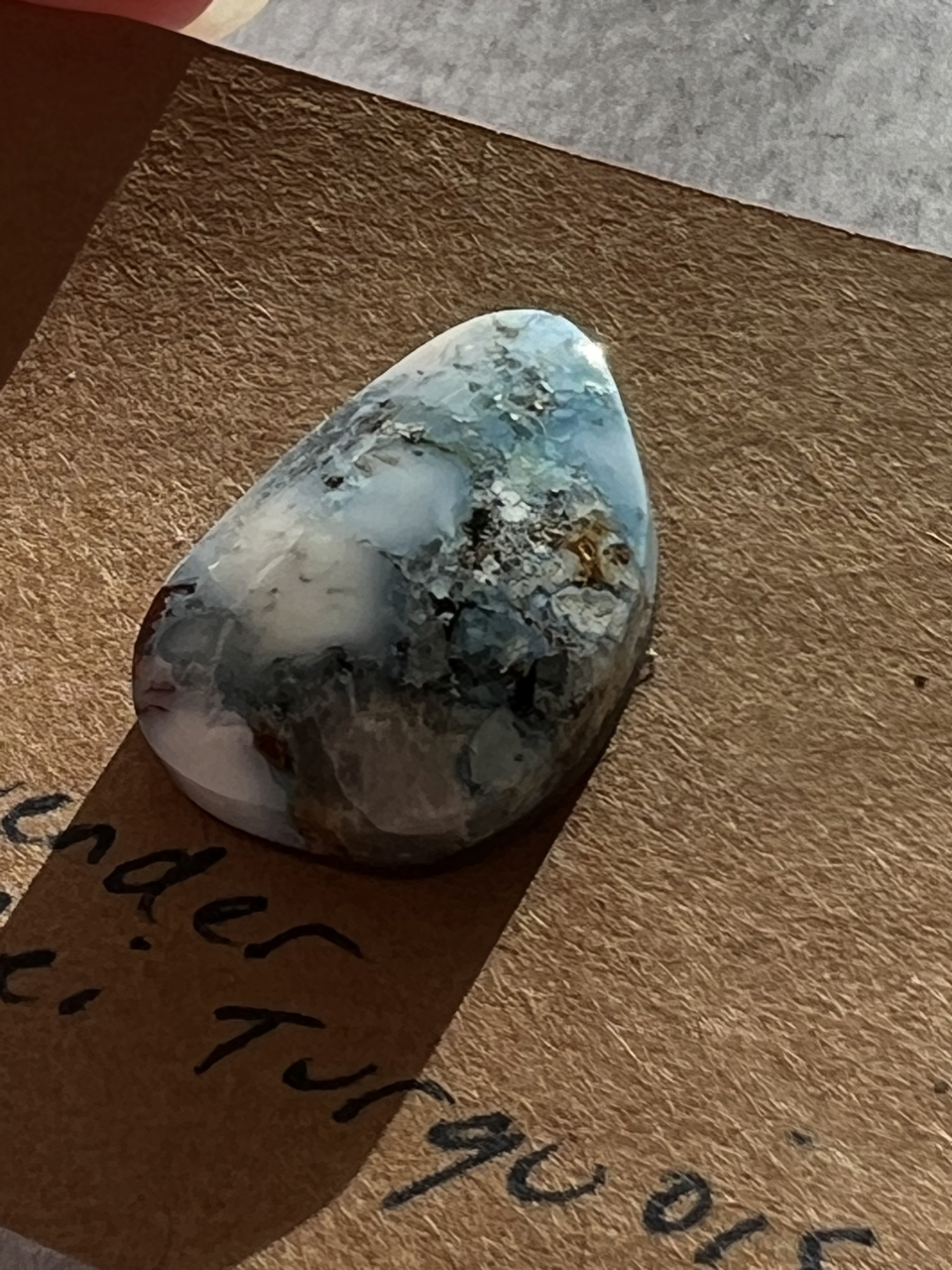 IMG_6542 Large.png
