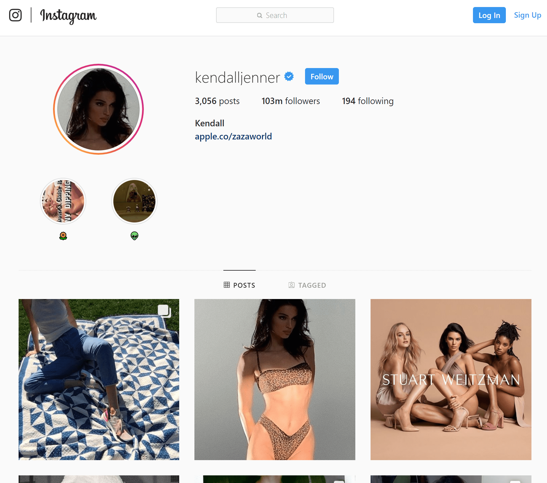 Rizzo-Young-Marketing-LLC-Kendall-Jenner-Instagram.png