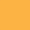 Orange bg.jpg