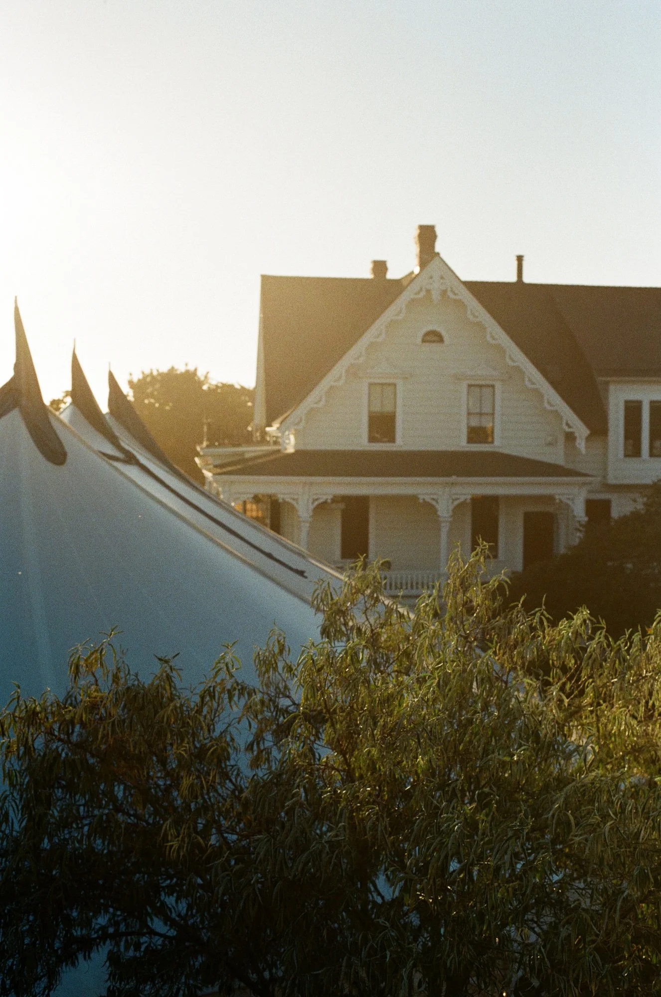 maccallum-house-wedding-mendocino-dinner-034.jpg