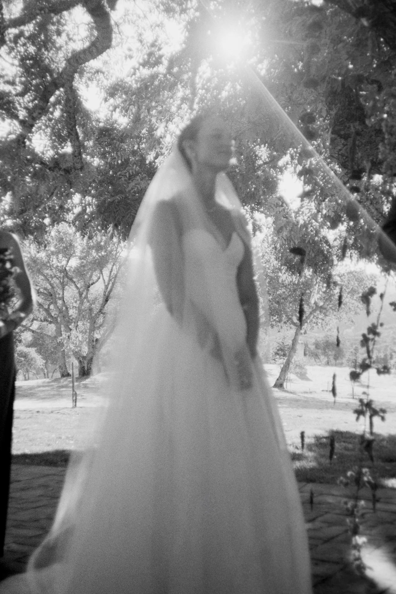 triple-s-ranch-calistoga-wedding-ceremony-019.jpg