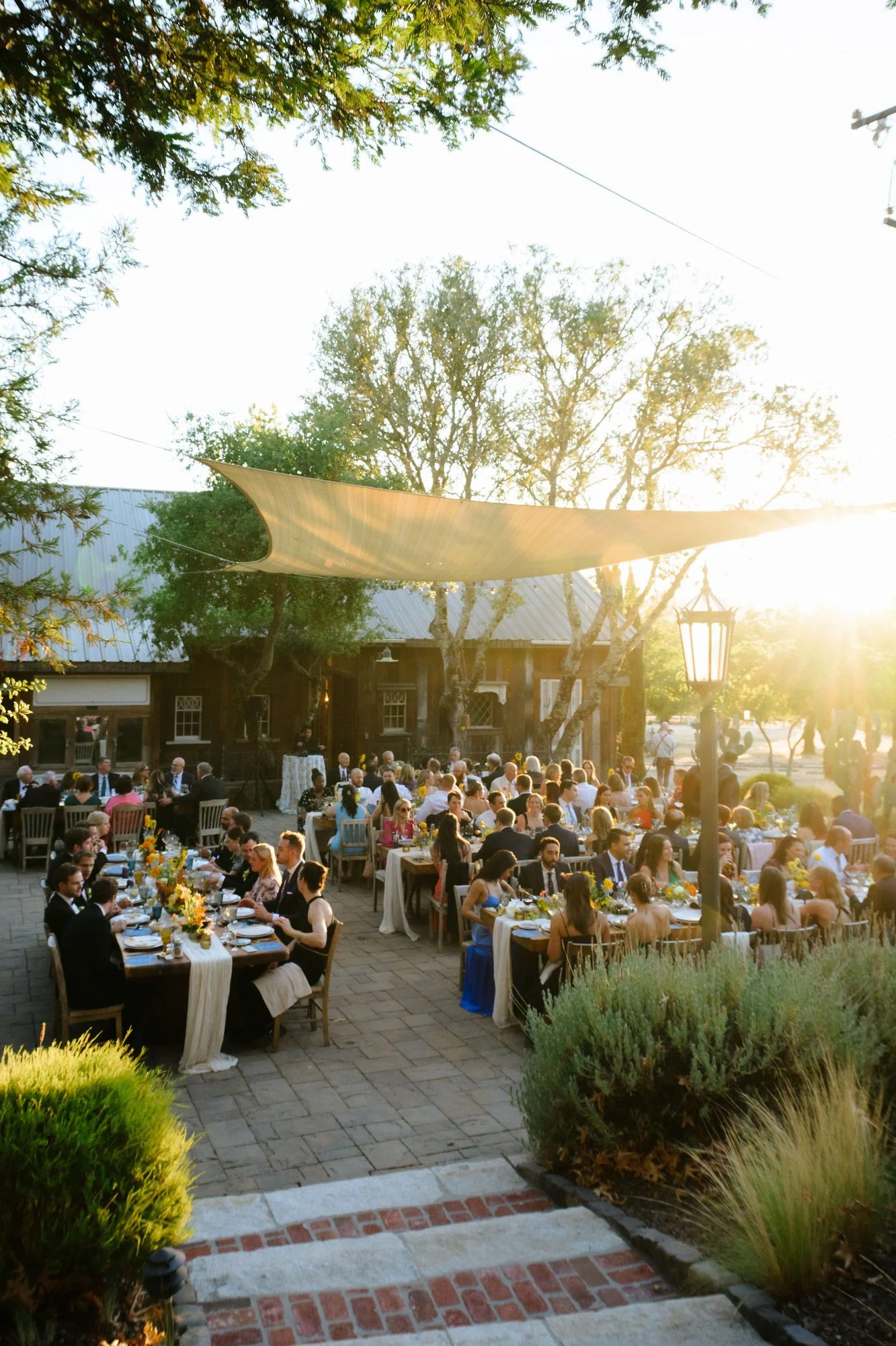 triple-s-ranch-calistoga-wedding-dinner-038.jpg