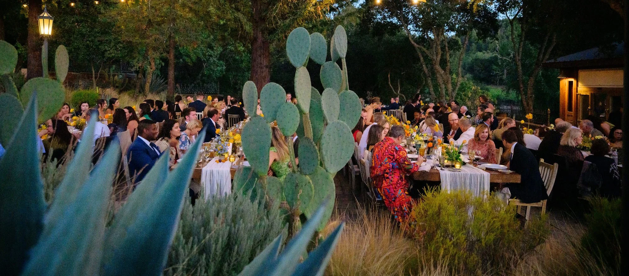 triple-s-ranch-calistoga-wedding-dinner-041.jpg