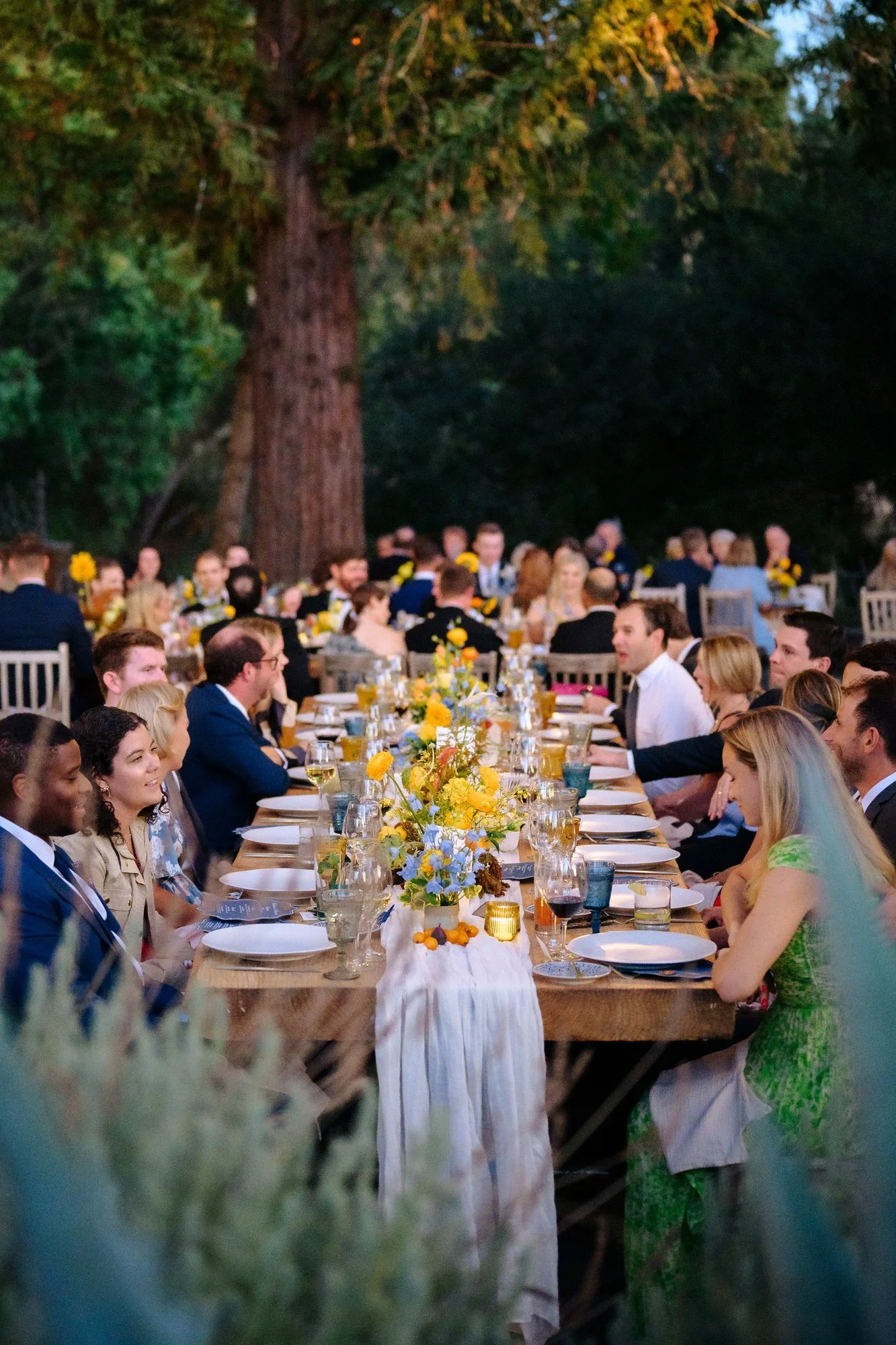 triple-s-ranch-calistoga-wedding-dinner-042.jpg
